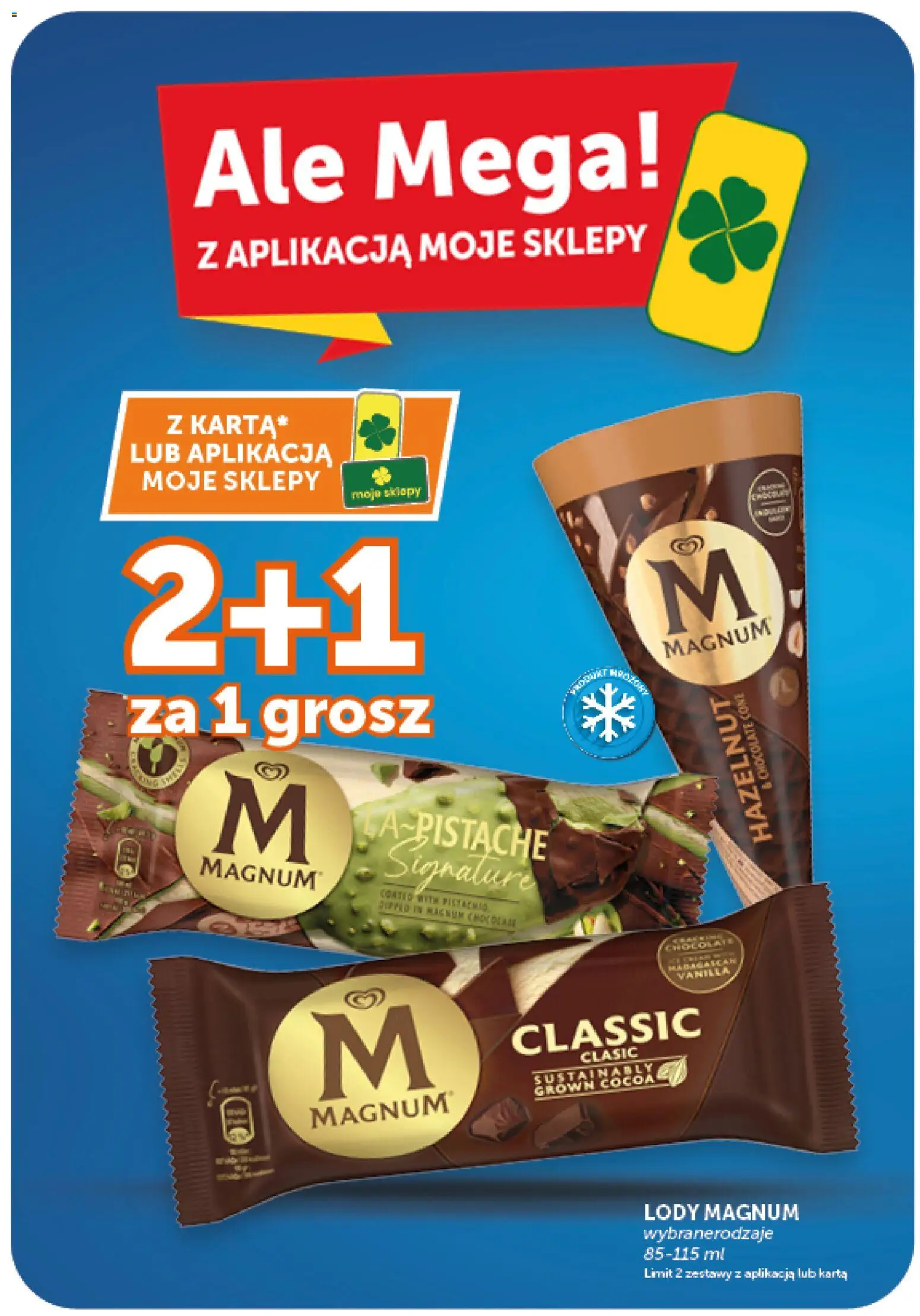 Groszek gazetka od 03.09.2026 | Strona: 9 | Produkty: Karta, Magnum, Lody Magnum, Lody