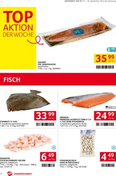 Transgourmet Flugblatt ab 20.09.2026 gültig | Seite: 12 | Produkte: Lachsfilet, Fisch