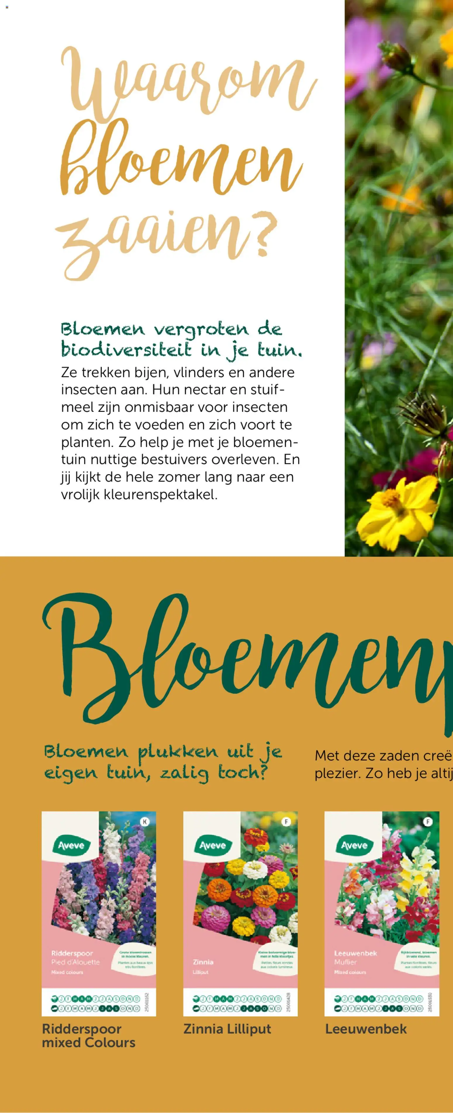 {H1} | Pagina: 72 | Producten: Bloemen