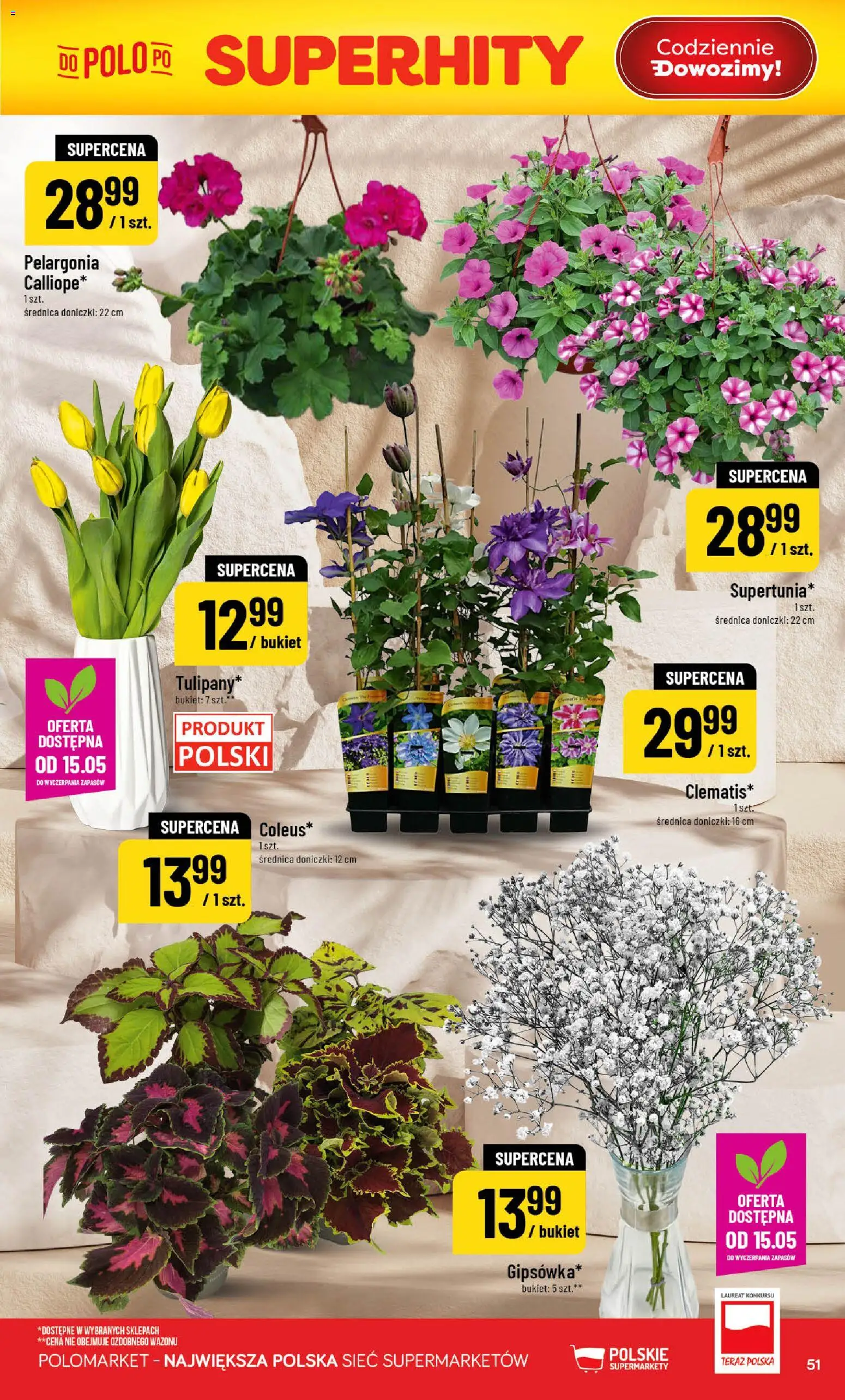 POLOmarket gazetka od 13.05.2026 | Strona: 51 | Produkty: Doniczki
