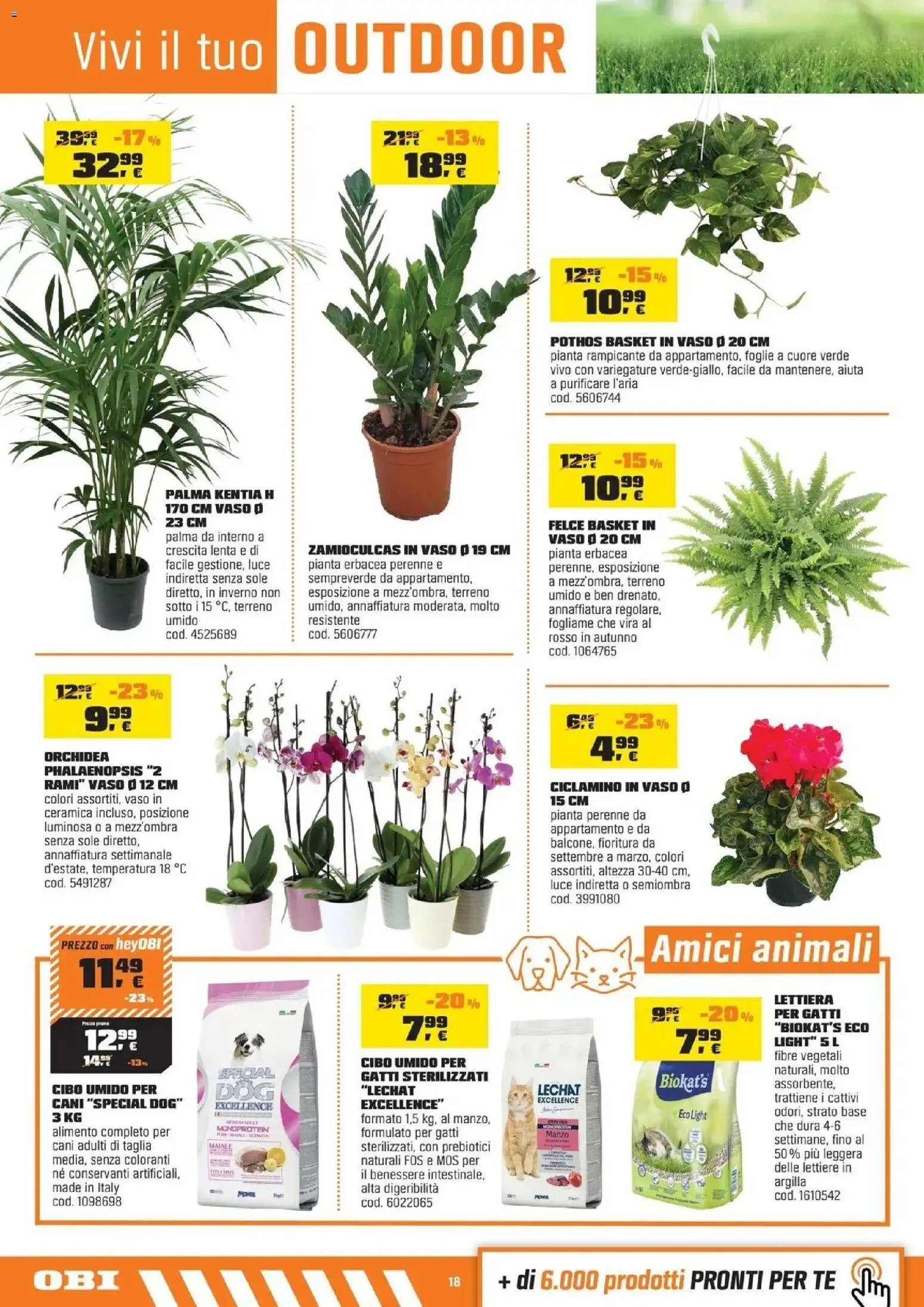 Nuovo OBI volantino attuale dal 15/10/2026 > offerte anteprima 🛍️ | Pagina: 18 | Prodotti: Maiale, Manzo, Orchidea, Vaso