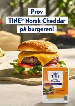 Forhåndsvisning av Rema1000 Matlyst gyldig fra 28.04.2026 | Side: 8 | Produkter: Hamburger, Skyr, Cheddar