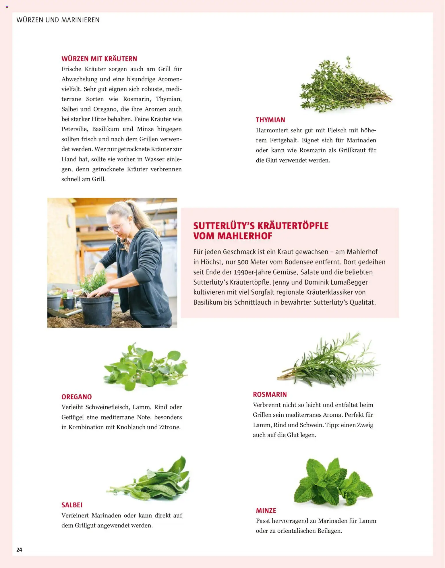 Sutterlüty Sommer 2026 gültig ab 21.10.2026 | Seite: 24 | Produkte: Knoblauch, Kraut, Grill, Würzen