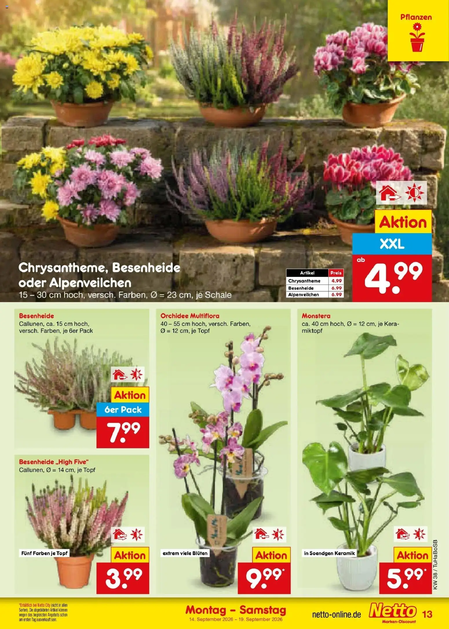 Netto Marken-Discount Prospekt Unna – gültig ab 14.09.2026 | Seite: 19 | Produkte: Orchidee