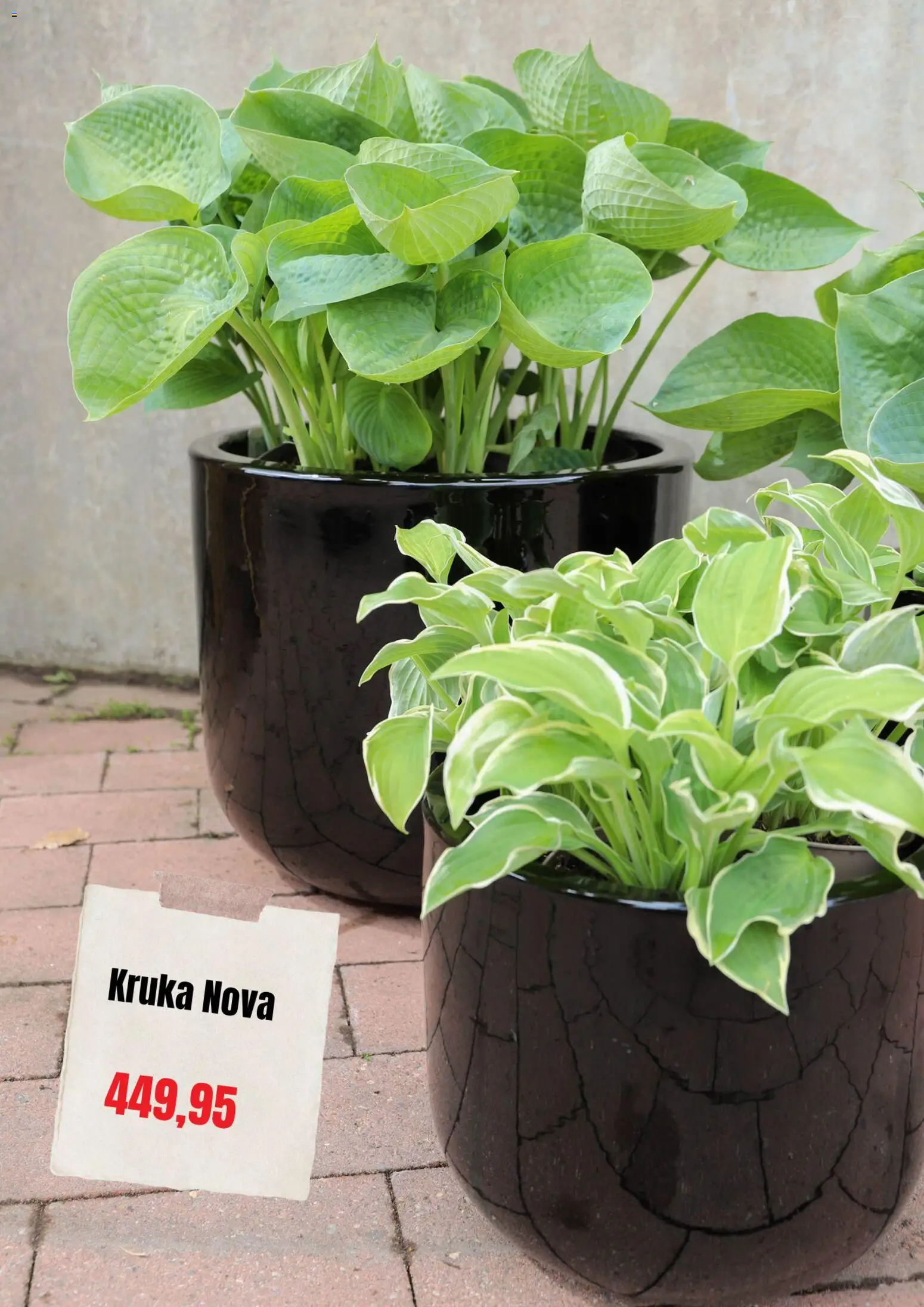 Plantagen reklamblad aktuell från 13/08/2026 | Sida: 7 | Produkter: Kruka