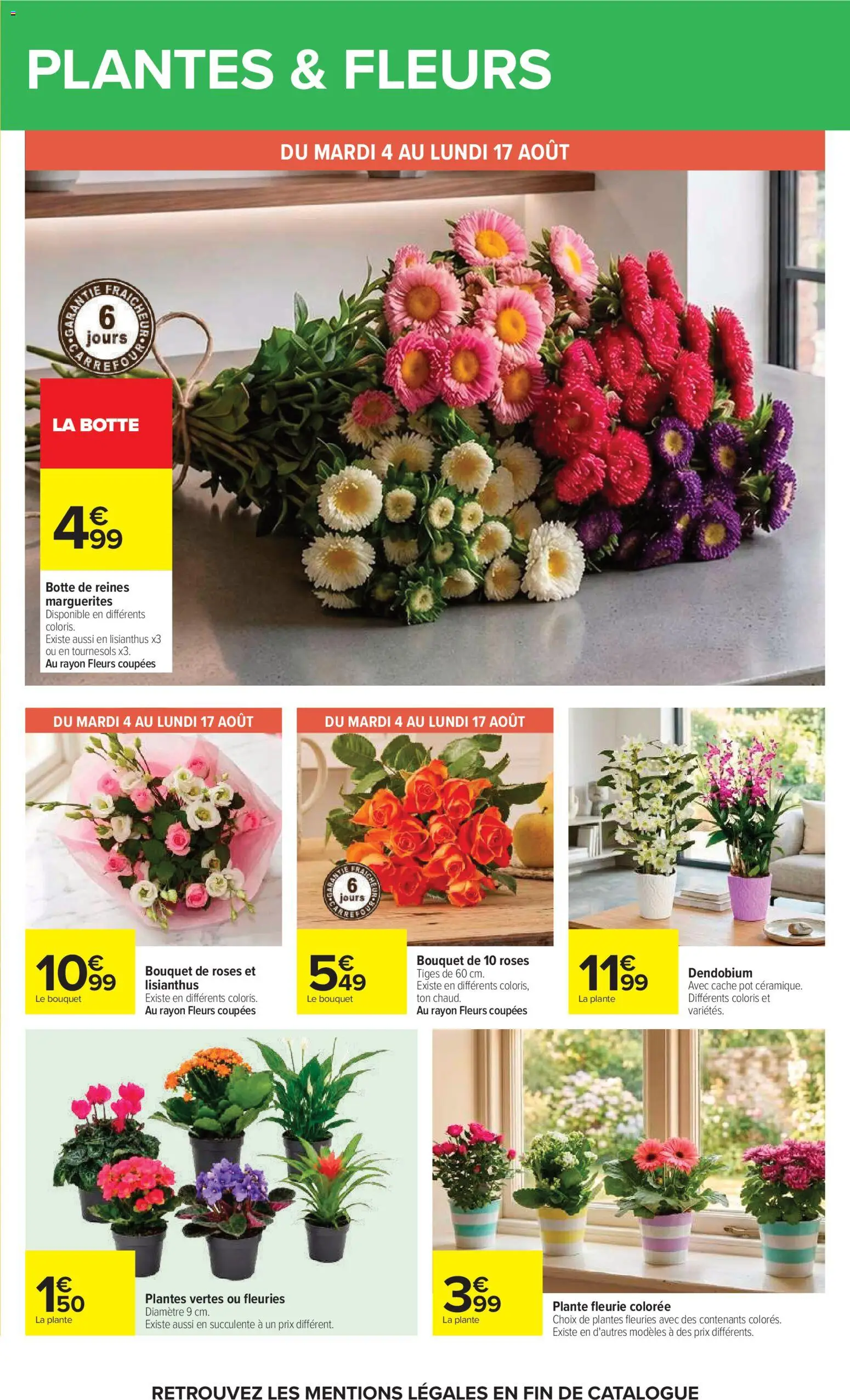 {H1} | Page: 53 | Produits: Plantes, Succulente, Bouquet de roses, Plantes vertes