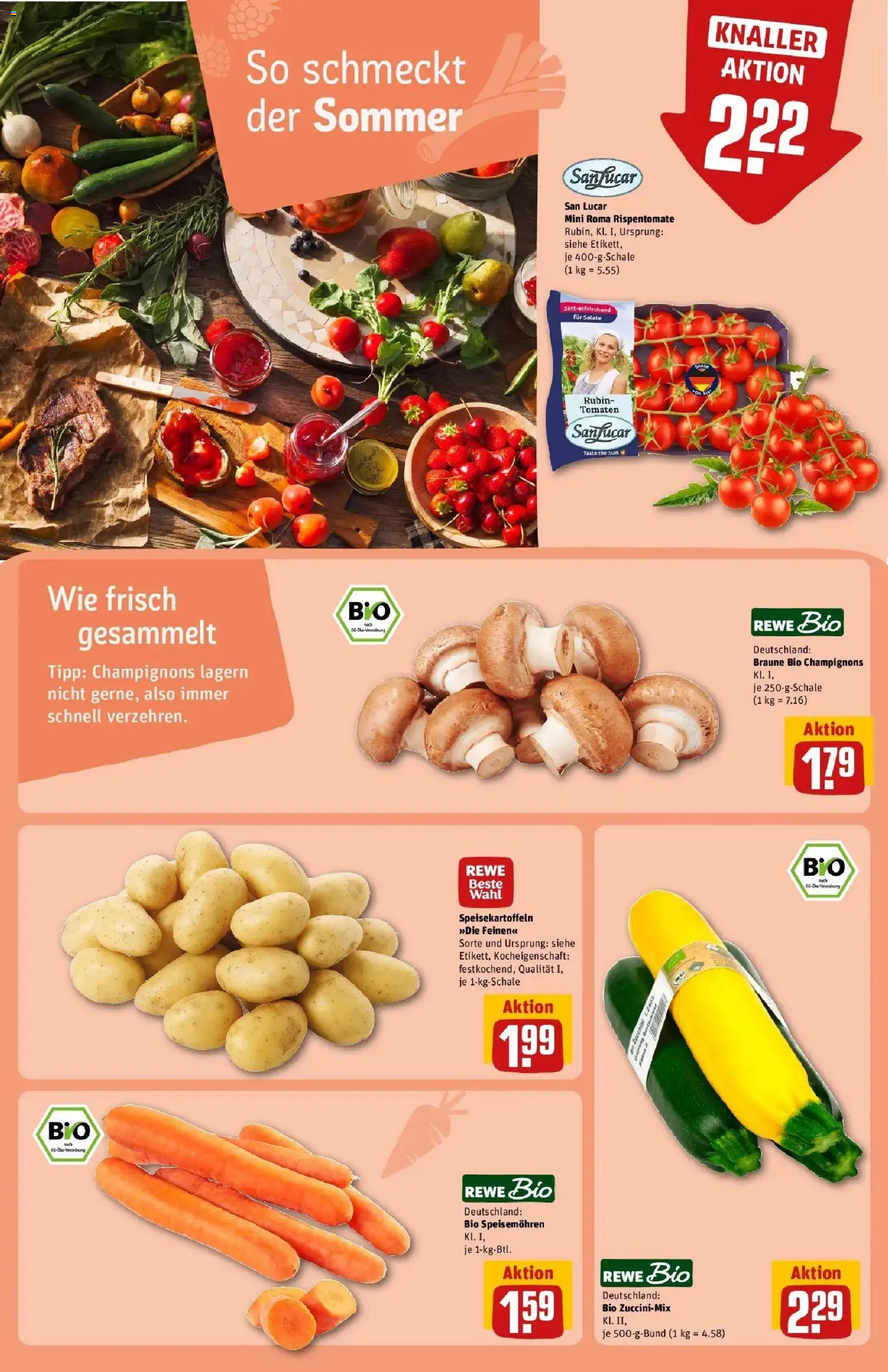 REWE Prospekt ab 10.08.2026 zum Blättern » Angebote | Seite: 23 | Produkte: Tomaten, Champignons