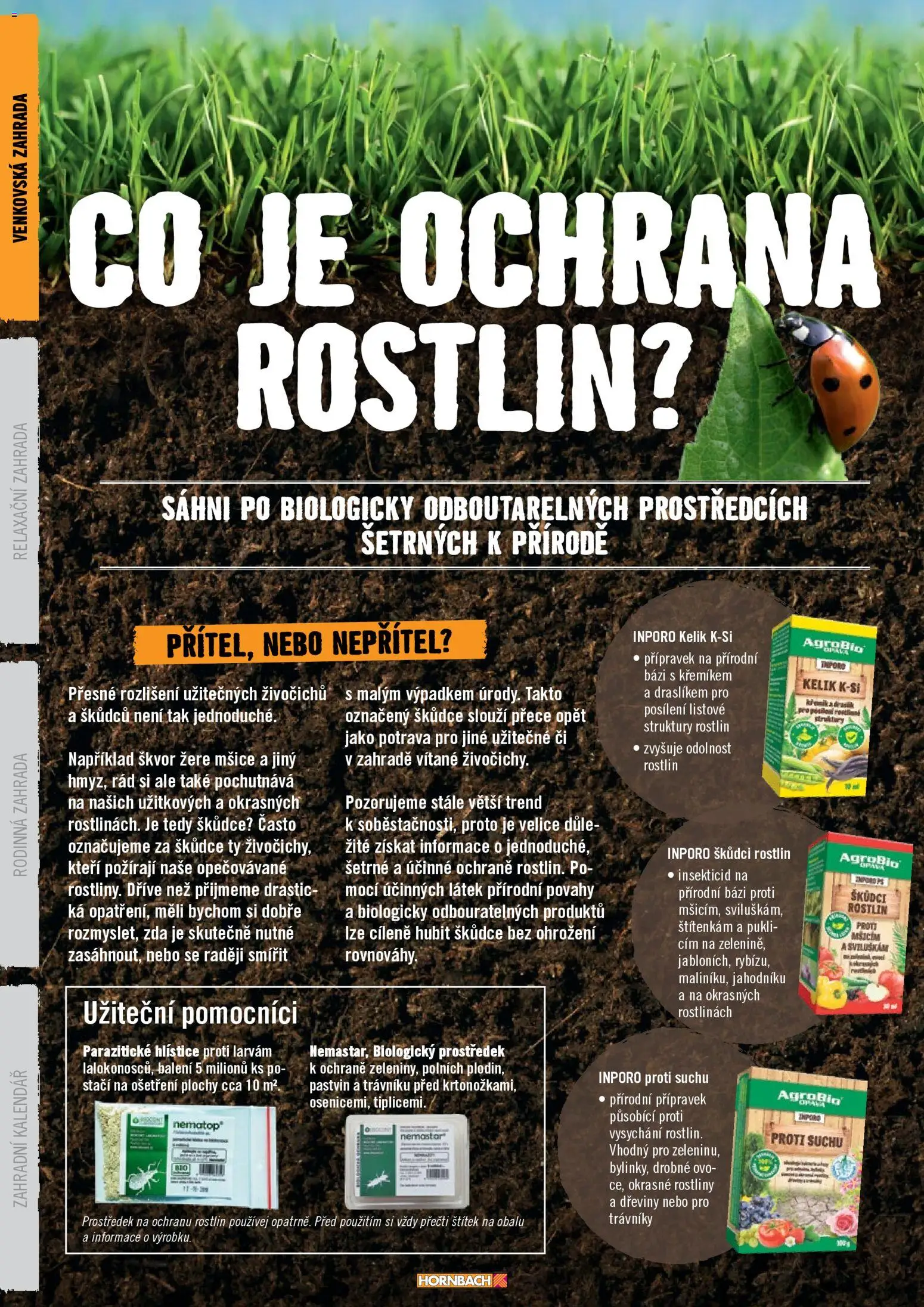 HORNBACH leták - Zahrada od 01.01.2026 | Strana: 12 | Produkty: Zahrada, Kalendář, Rostliny