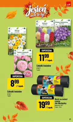 Pogląd oferty "POLOmarket katalog - Jesień" - ważna od 25.09.2026 | Strona: 21 | Produkty: Worki na śmieci, Cebulki kwiatów