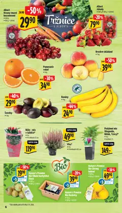 Náhled letáku Albert Jahody, • 500 g, • 100 g = 15,98 Kč od 26.08.2026 | Strana: 14