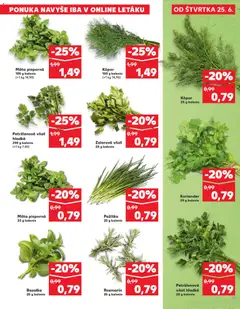 Kaufland leták platný od 25.06.2026 | Strana: 11 | Produkty: Pažítka, Koriander