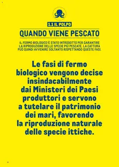 Anteprima del volantino 1.1 IL POLPO, IL FERMO BIOLOGICO È STATO INTRODOTTO PER GARANTIRE LĄ RIPRODUZIONE DELLE SPECIE PIÙ PESCATE. LA CATTURA PUÒ QUINDI AVVENIRE SOLTANTO RISPETTANDO QUESTE FASI. valido a partire dal 30.06.2025 | Pagina: 16 | Prodotti: Polpo