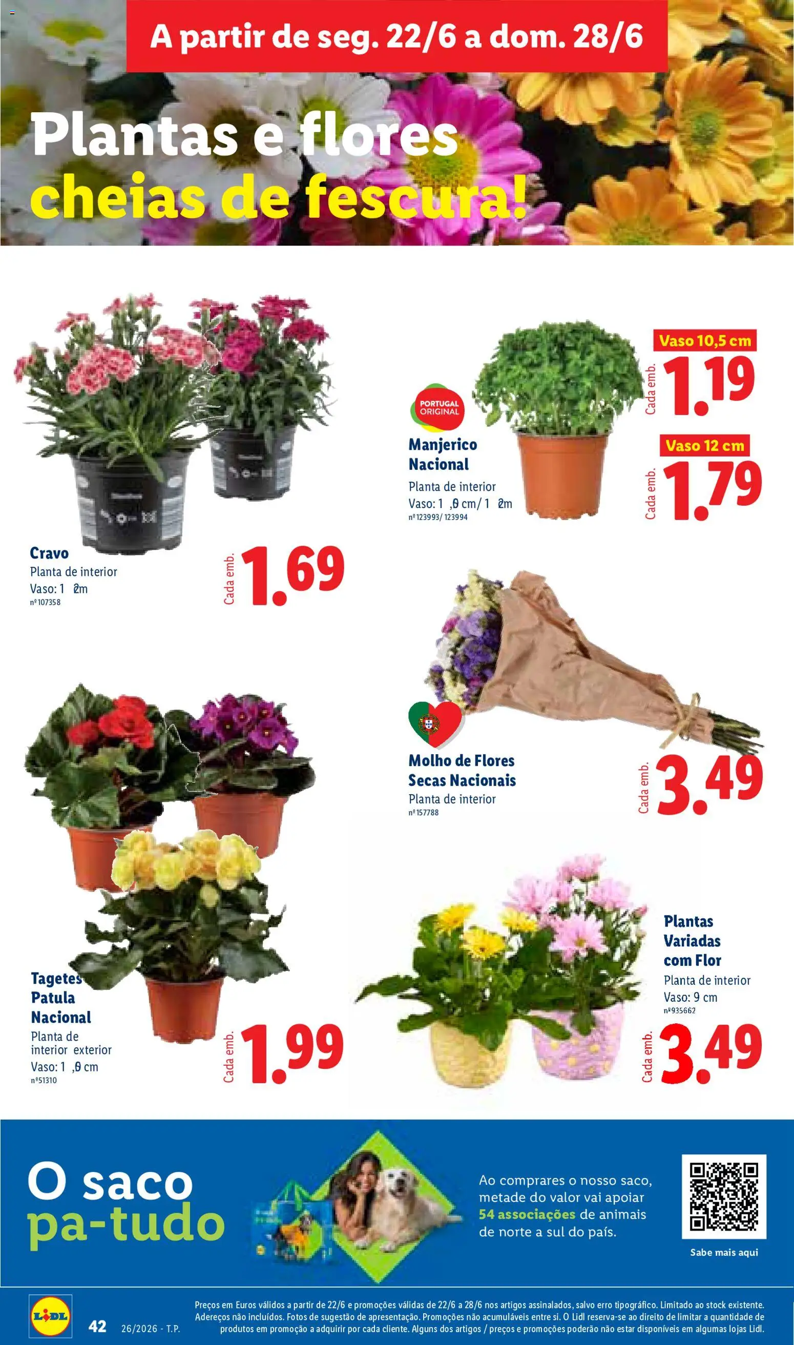 Lidl folheto │ válido de 22.06.2026 | Página: 42