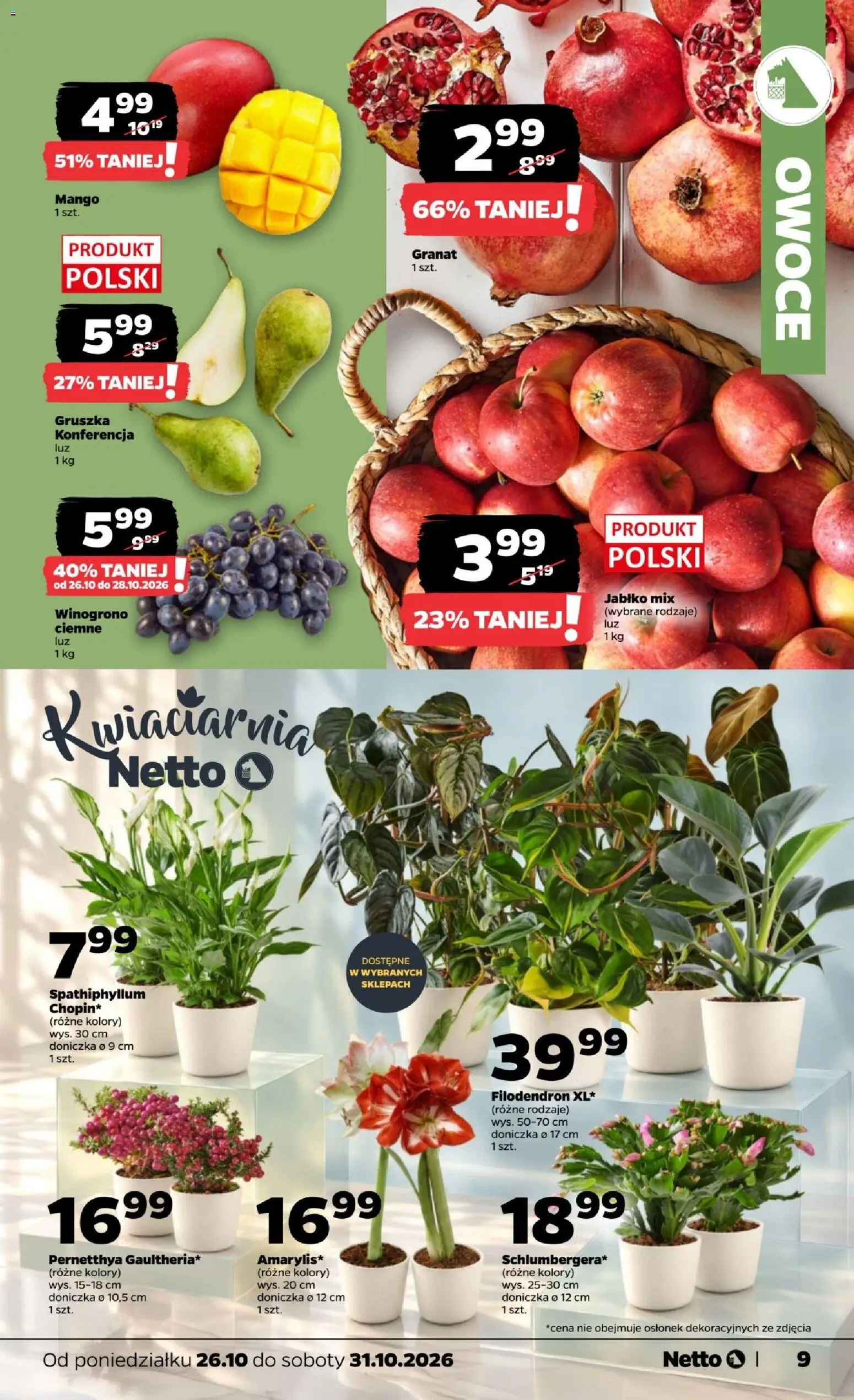 Netto gazetka od poniedziałku od 26.10.2026 | Strona: 9