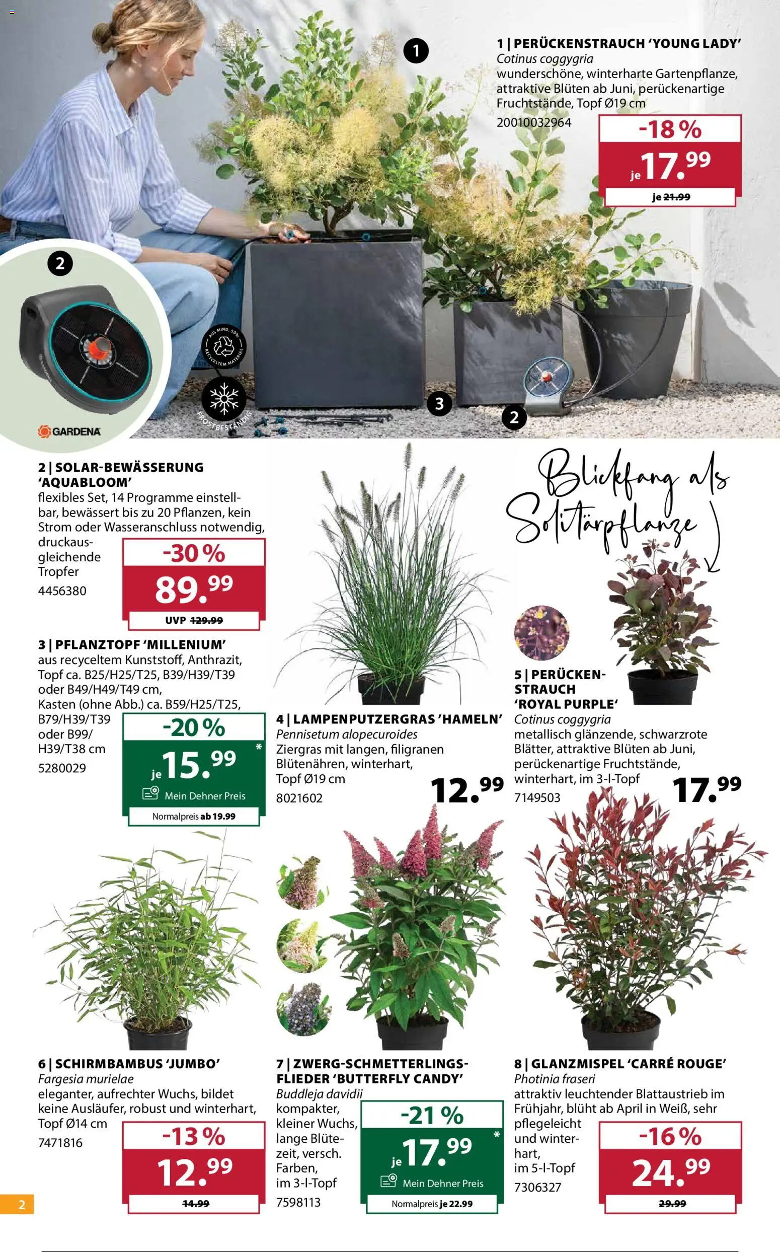 Dehner Flugblatt gültig ab 24.06.2026 | Seite: 2