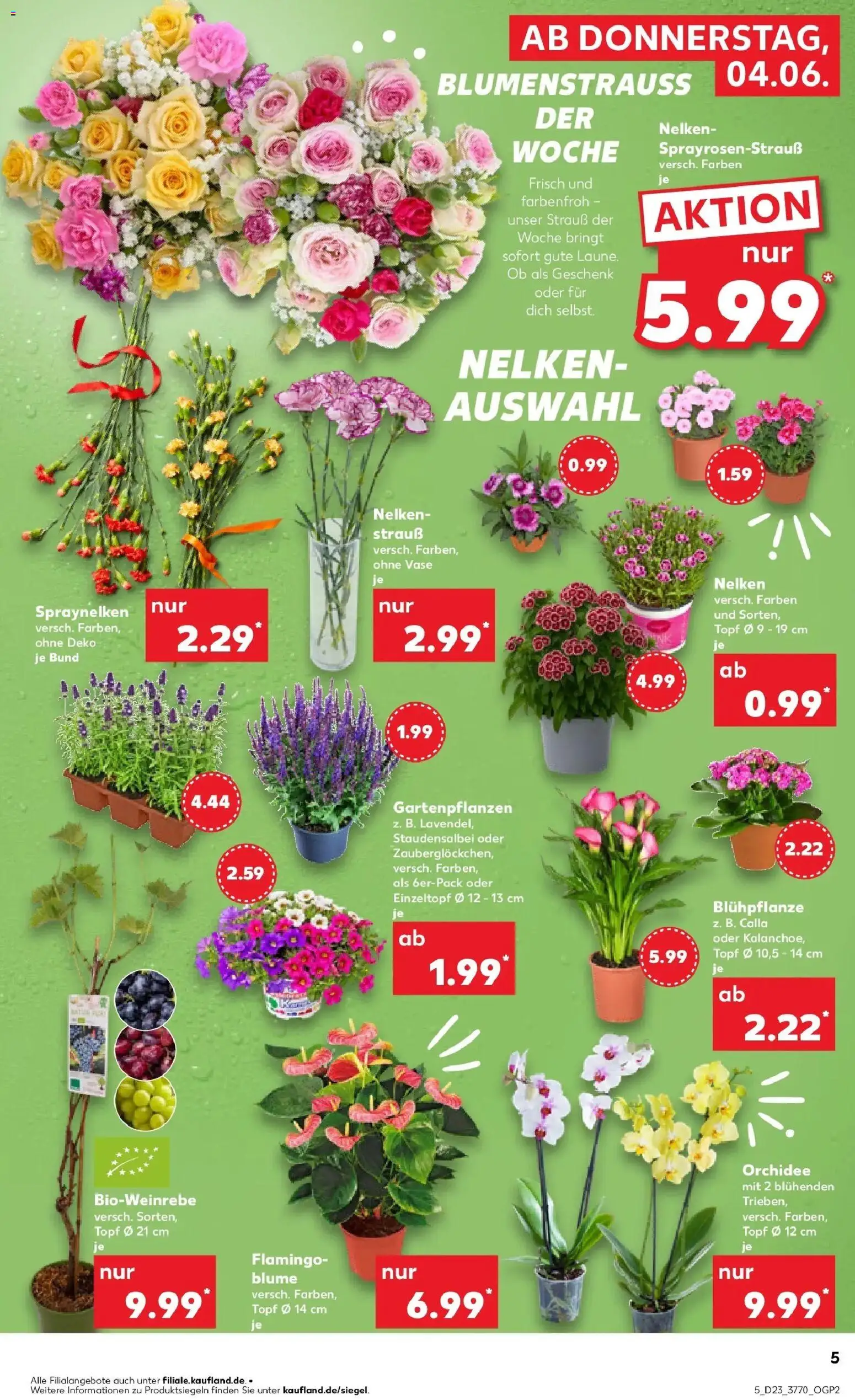 Kaufland Prospekt Berlin – gültig ab 01.06.2026 | Seite: 12 | Produkte: Orchidee, Vase