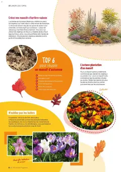 VillaVerde - Prévisualisation de VillaVerde catalogue valide à partir de 30/09/2026 | Page: 8