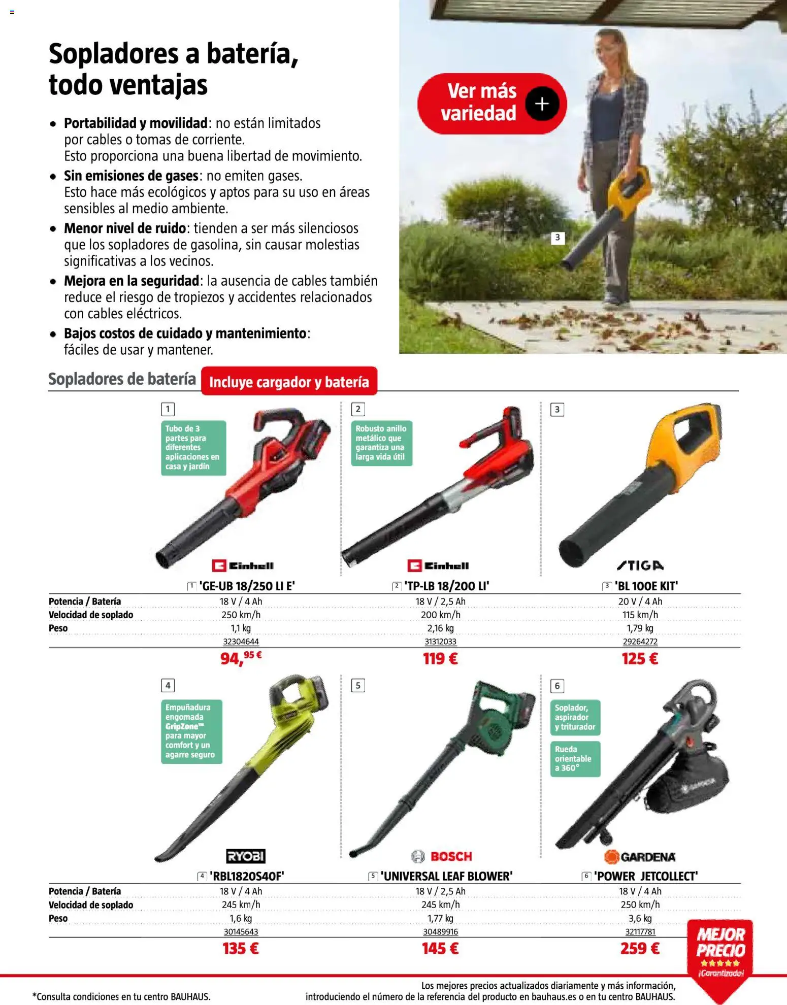 Bauhaus Jardín │ válido desde el 16.03.2026 | Página: 31 | Productos: Peso, Aspirador, Batería