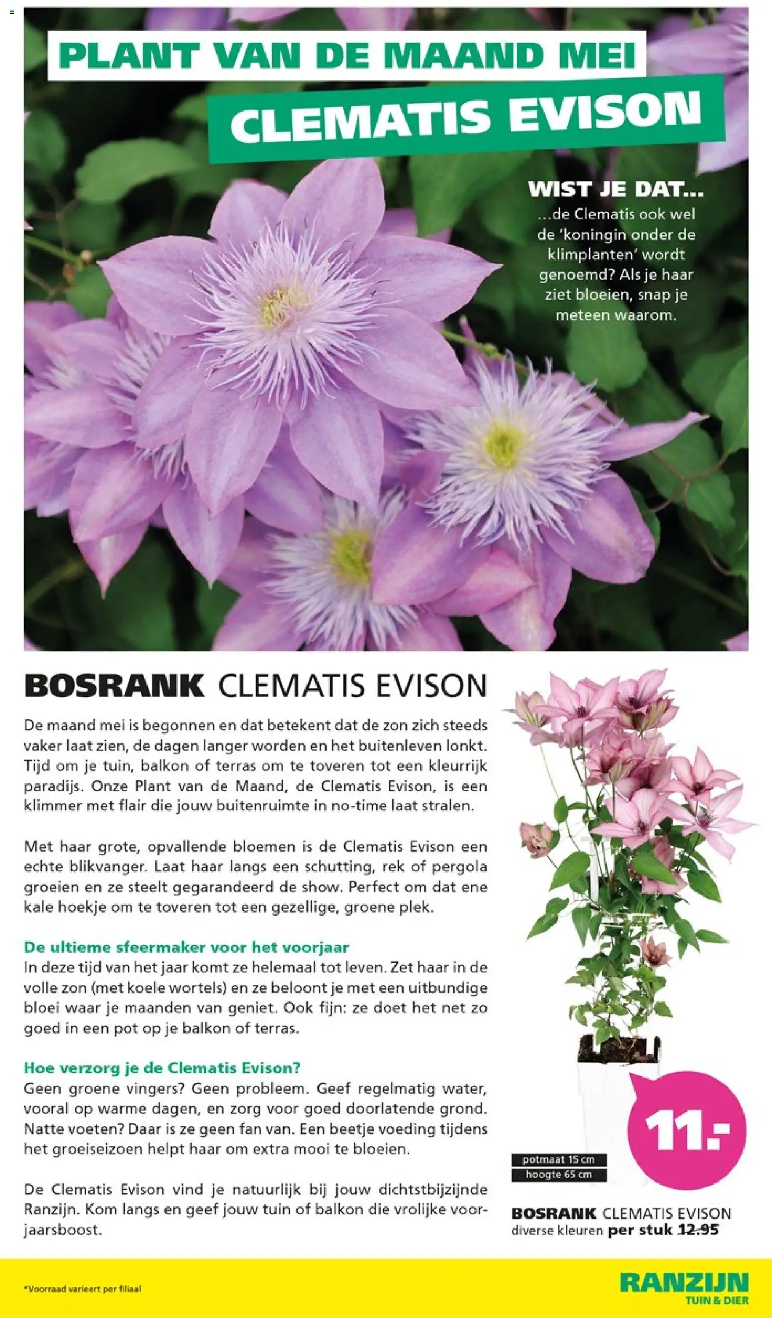 {H1} | Pagina: 4 | Producten: Kom, Pot, Bloemen