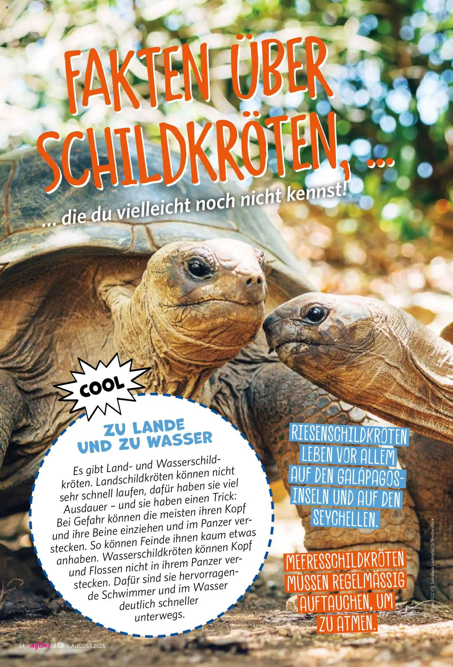 Famila Nordwest myTime August 2026 – gültig ab 01.08.2026 | Seite: 93 | Produkte: Wasser