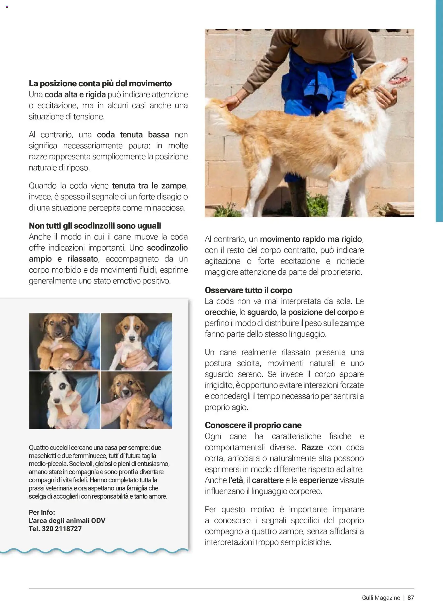 Volantino Gulliver del 01/08/2026 | Pagina: 86