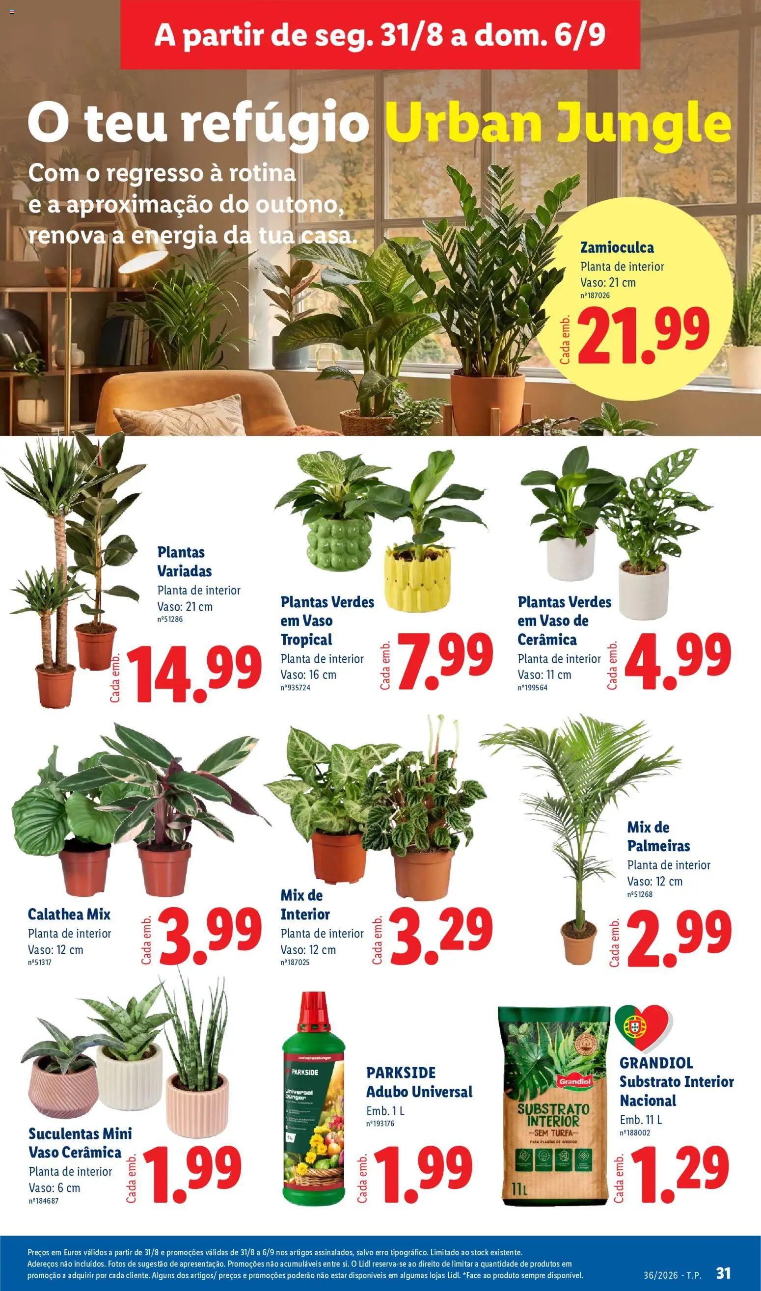 Lidl folheto │ válido de 31/08/2026 | Página: 31 | Produtos: Substrato, Turfa, Vaso