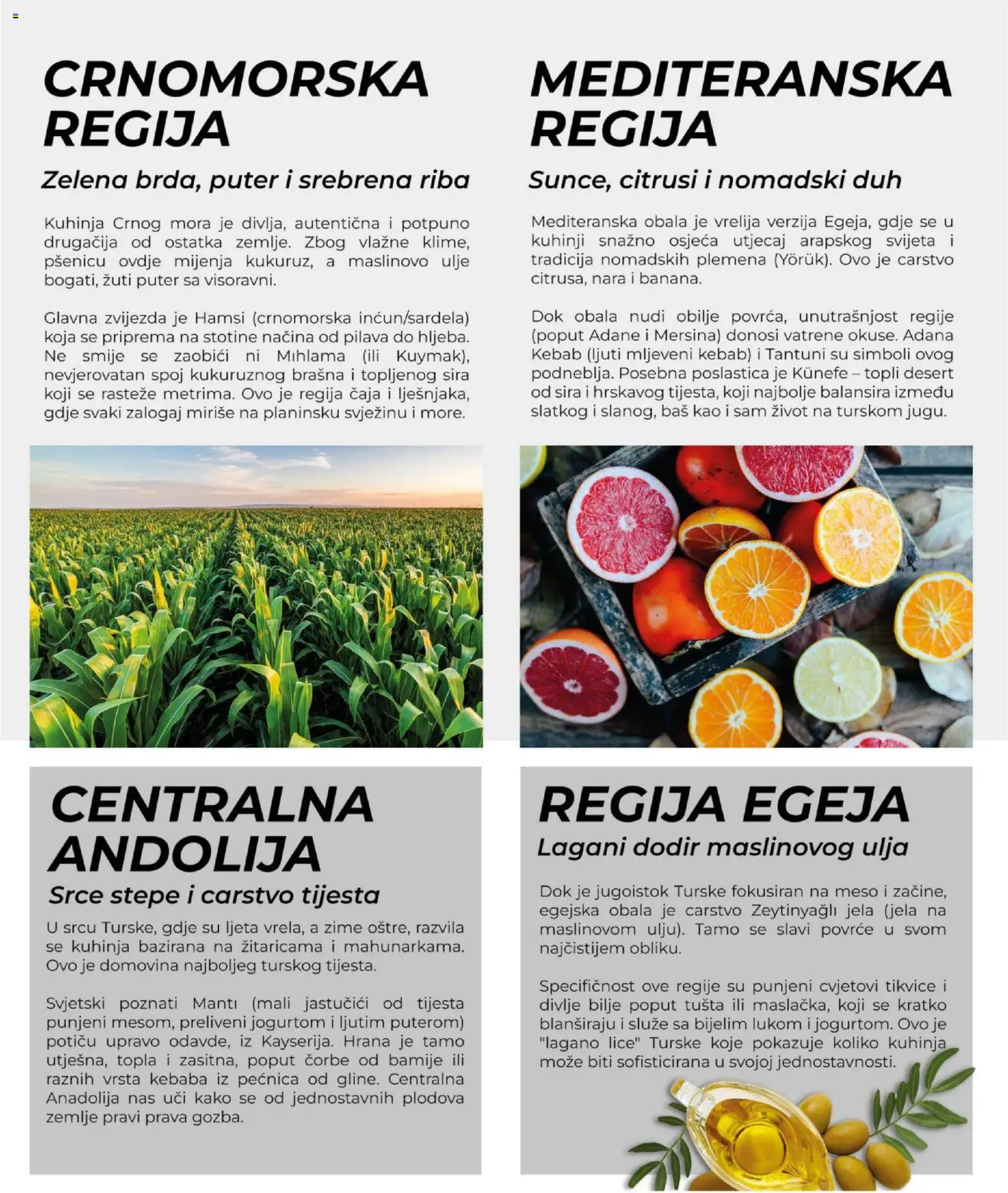  | Strana: 11