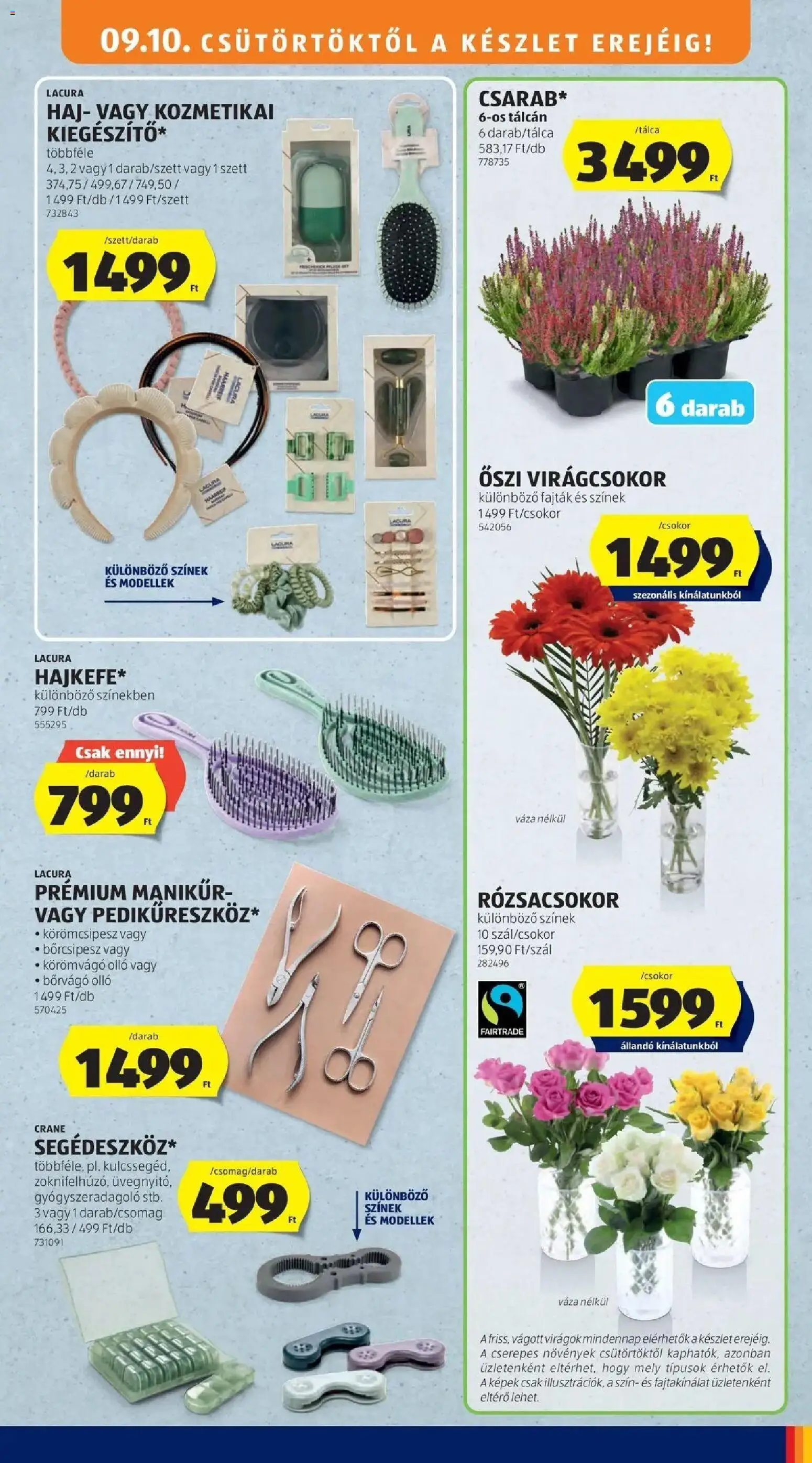 Aldi akciós ujság - amely érvényes a következő dátumtól: 2026.09.05. | Oldal: 27 | Termékek: Körömvágó olló, Virágok, Váza, Rosé