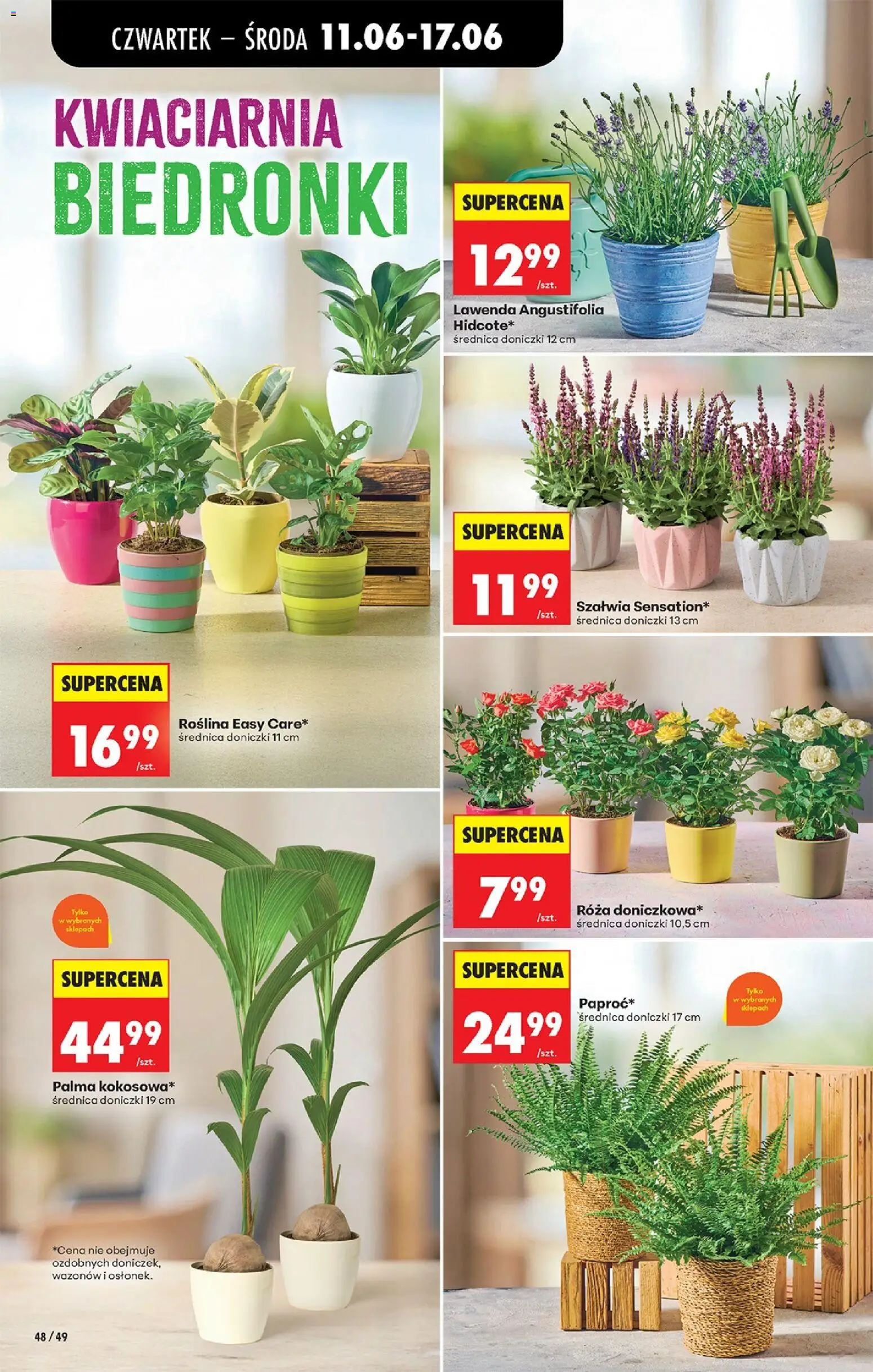 Biedronka gazetka od czwartku od 11.06.2026 | Strona: 62 | Produkty: Doniczki