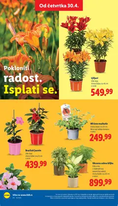 Lidl katalog - pregled Lidl kataloga - važi od 30.04.2026 | Strana: 64 | Proizvode: Miris