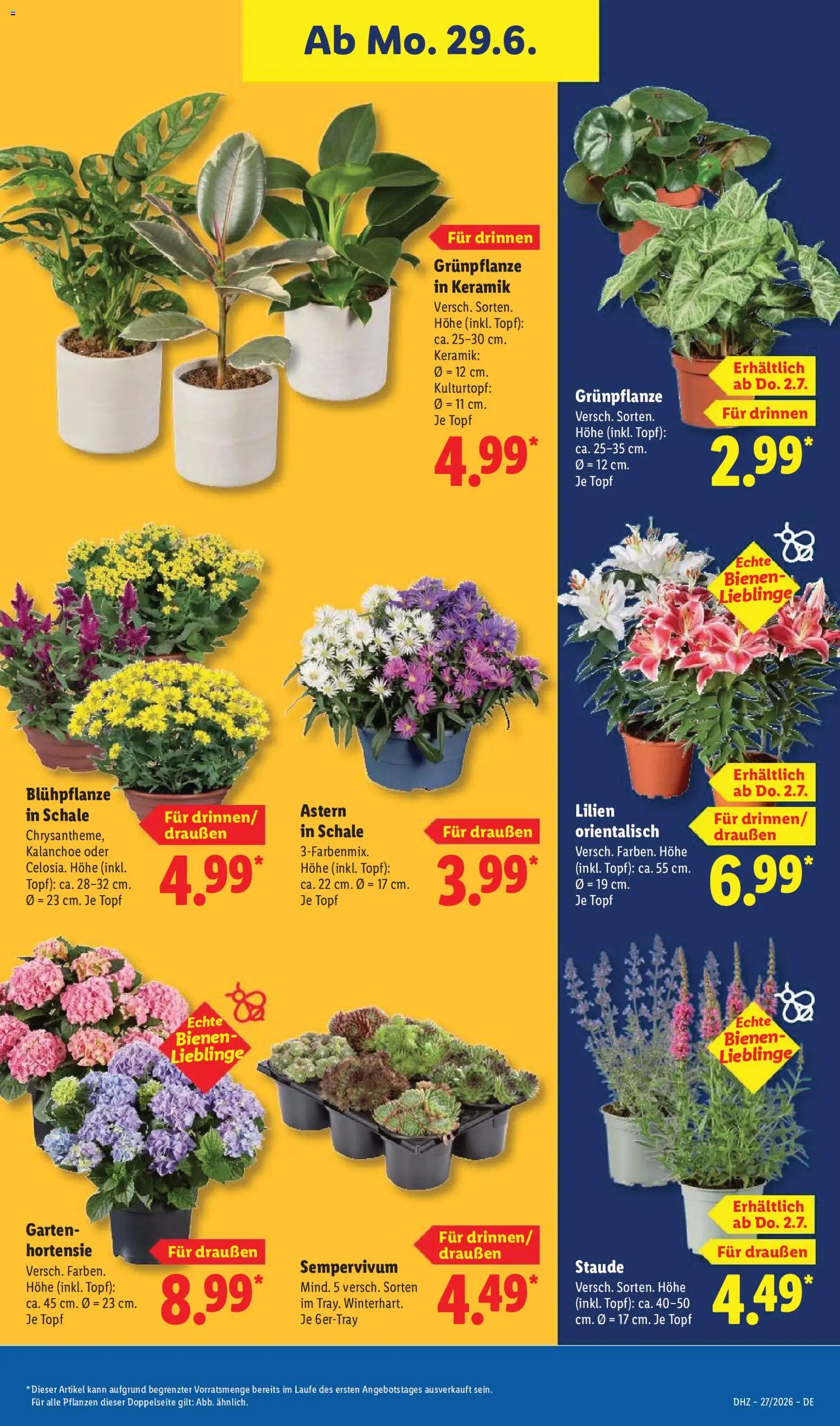 Lidl Prospekt | 29.06.2026 | Wie erhält man einen begrenzten Rabatt? | Deutschland