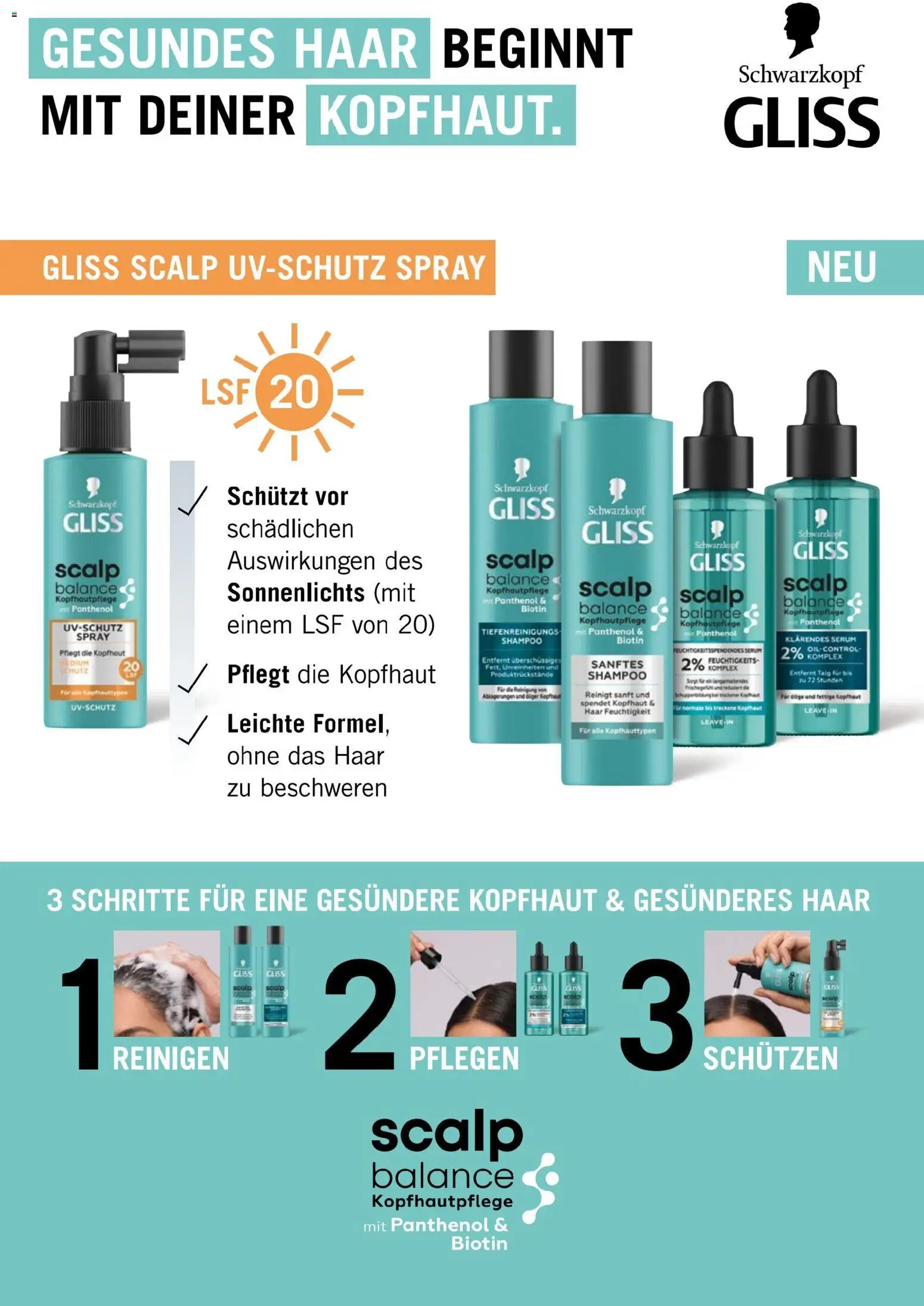 dm drogerie markt Journal Juli 2026 von 09.07.2026 - Aktuelle Angebote | Seite: 12 | Produkte: Shampoo