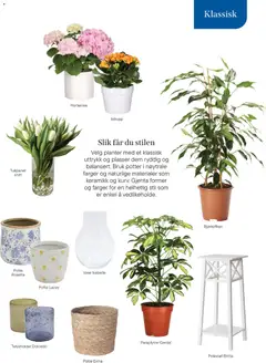 Forhåndsvisning av Plantasjen kundeavis gyldig fra 08/01/2026 | Side: 25