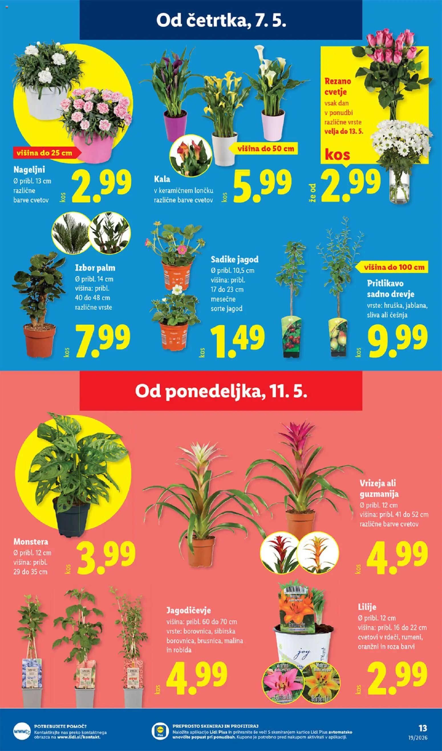 Novi Lidl katalog ponudbe – veljaven od 07.05.2026 | Stran: 25