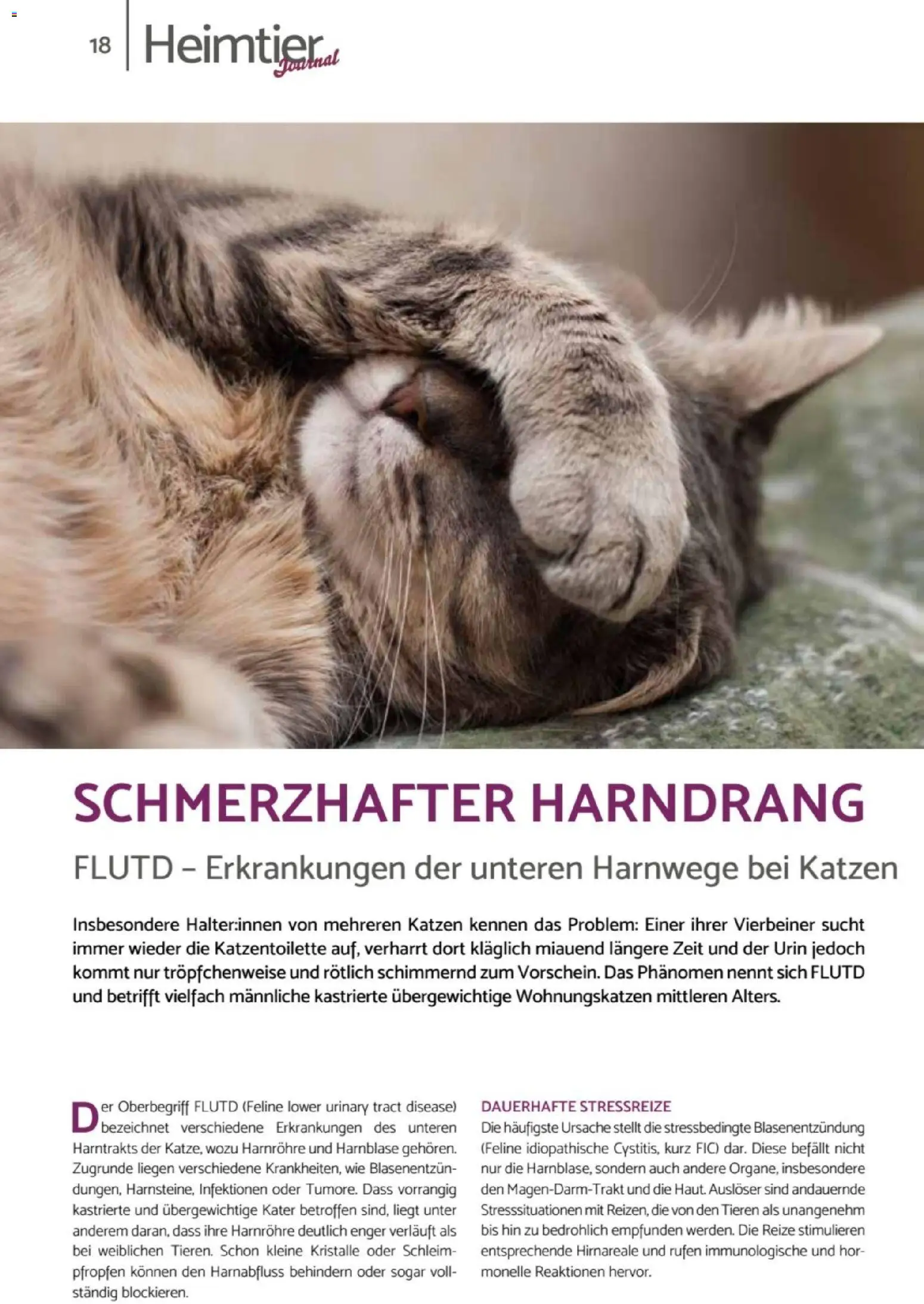 zookauf Heimtier Journal – gültig ab 01.10.2026 | Seite: 18