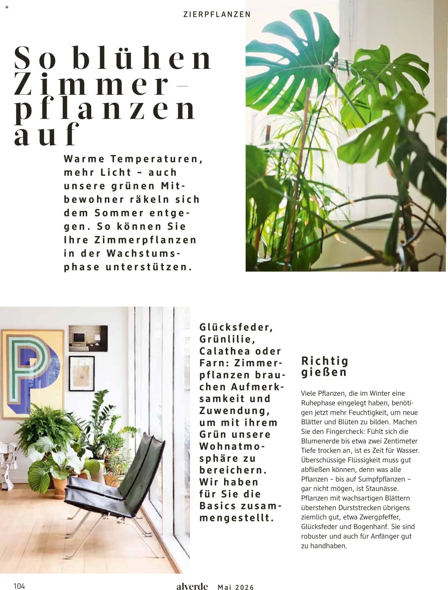 dm drogerie Prospekt 	 – gültig ab 01.05.2026 | Seite: 104 | Produkte: Blumenerde