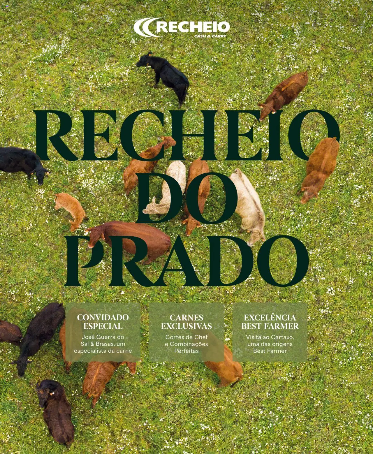 Recheio folheto » de 24/04/2025 catalogue cover