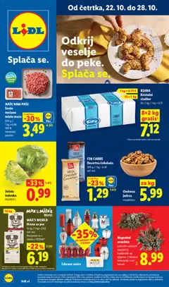 Lidl katalog akcije – veljaven od 22.10.2026