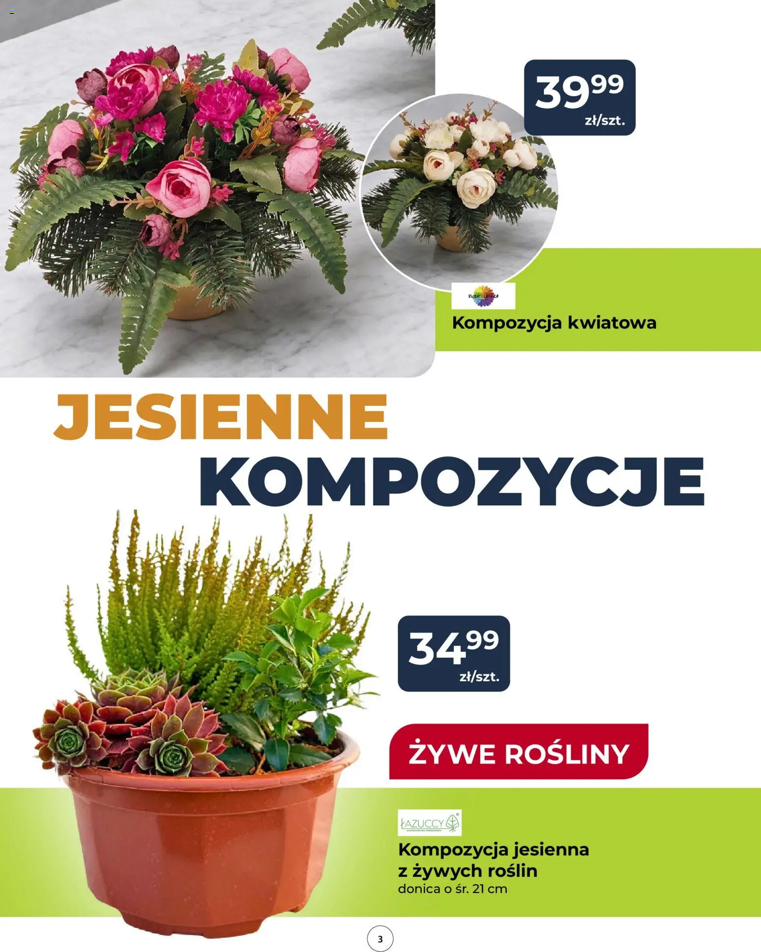 Mrówka gazetka od 08.10.2026 | Strona: 3 | Produkty: Rosliny