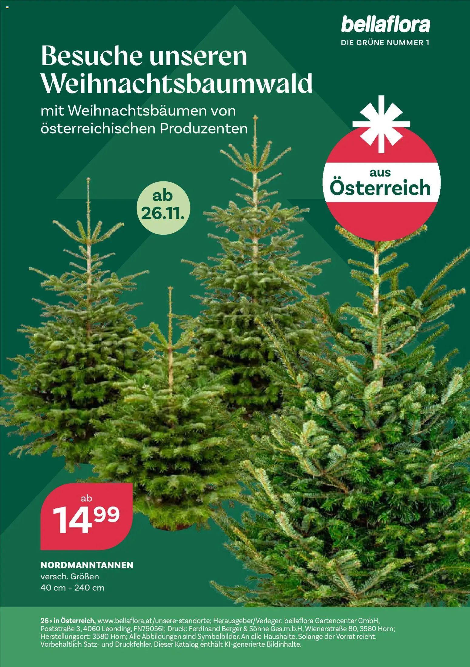 bellaflora Christmas gültig ab 06.10.2026 | Seite: 52