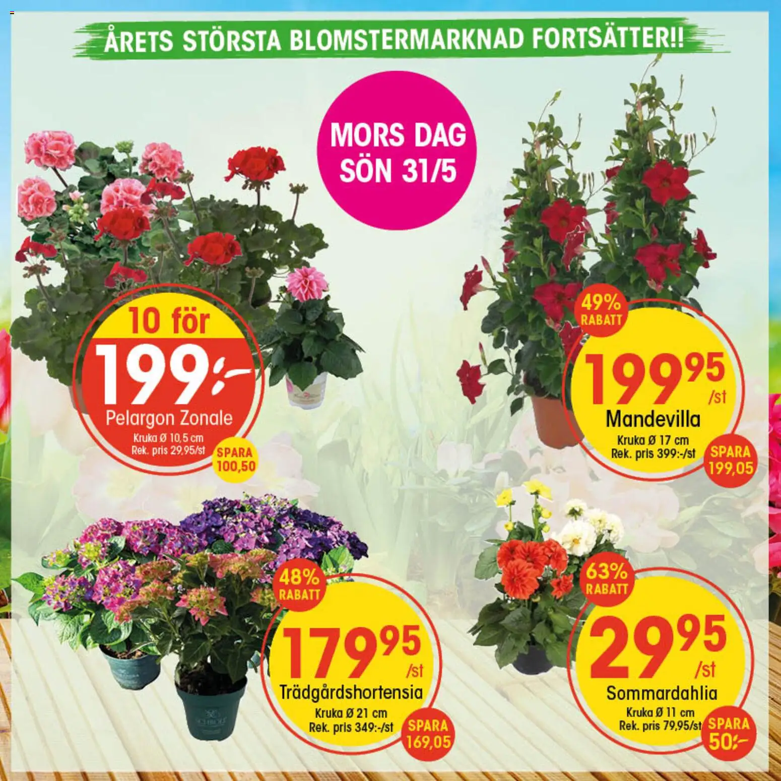 EKO reklamblad aktuell från 18.05.2026 | Sida: 1 | Produkter: Pelargon, Kruka