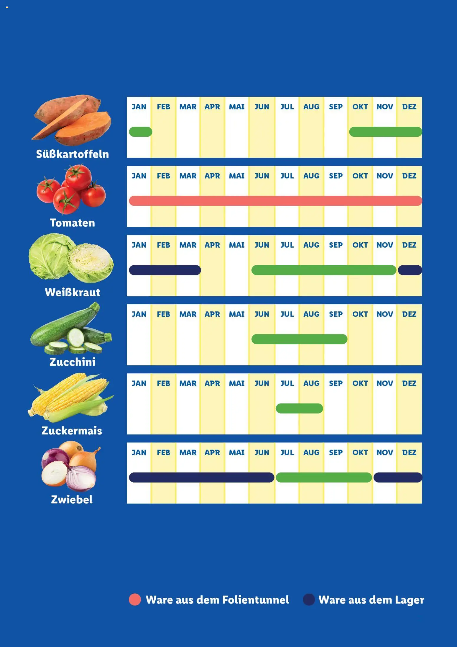 Lidl  Saisonkalender - Obst und Gemüse gültig ab 01.01.2026 | Seite: 7 | Produkte: Zucchini, Tomaten