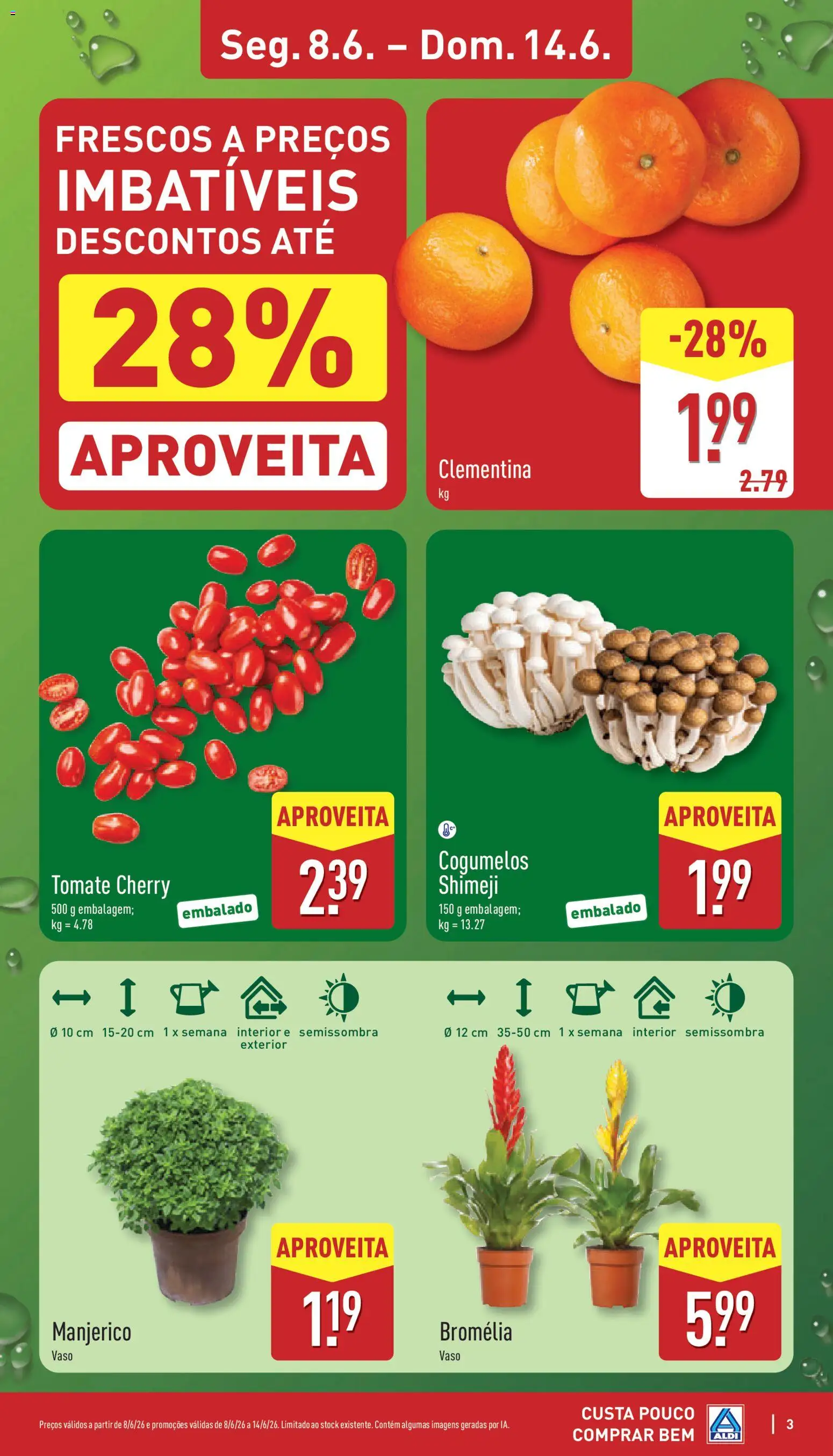 Aldi folheto │ válido de 08.06.2026 | Página: 3 | Produtos: Vaso, Tomate, Cogumelos