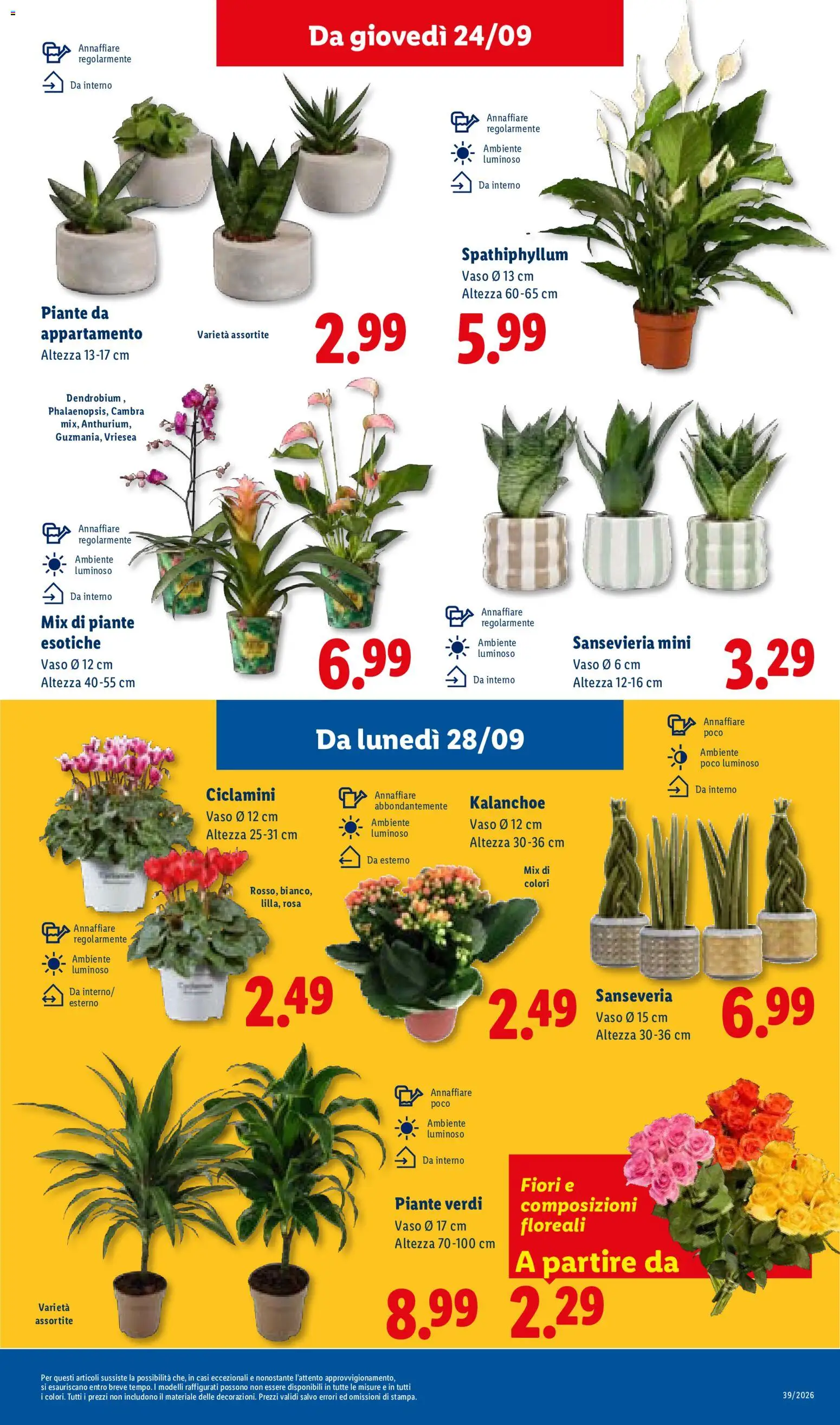 Volantino Lidl del 24/09/2026 | Pagina: 43