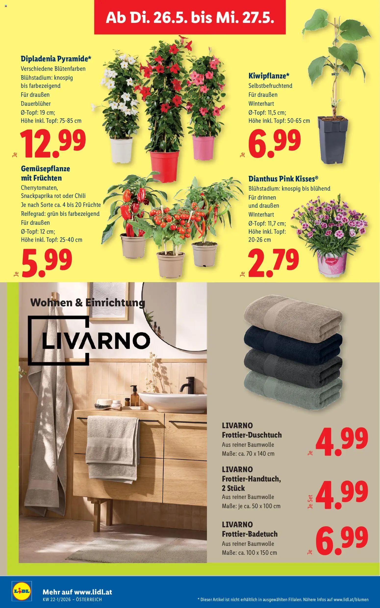 Lidl - Flugblatt gültig ab 21.05.2026 | Seite: 29 | Produkte: Chili