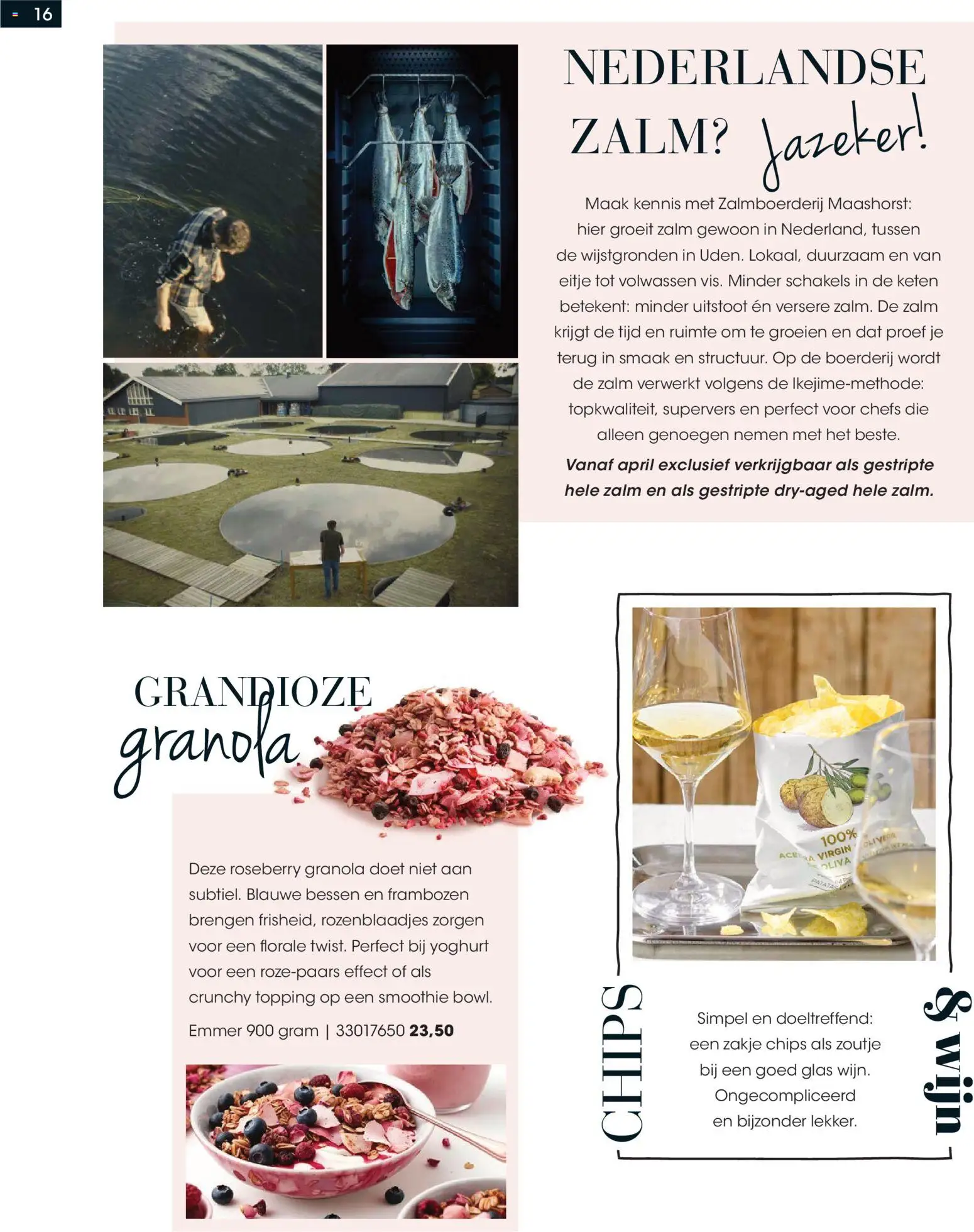 {H1} | Pagina: 16 | Producten: Yoghurt, Elektromos húsdaráló, Chips, Zalm