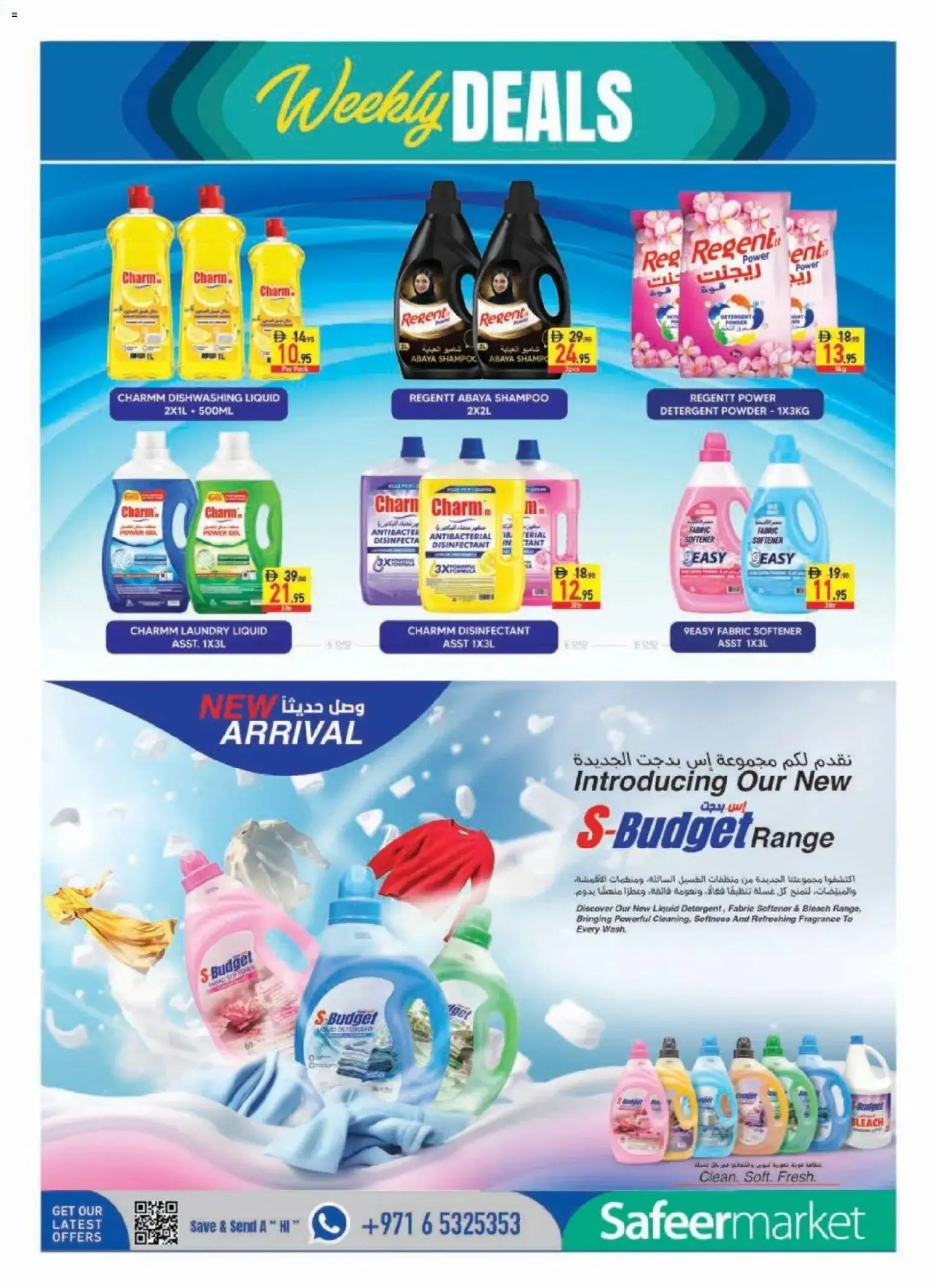 {H1} | Page: 12 | Products: Powder, Bleach, Dishwashing liquid, Fabric softener