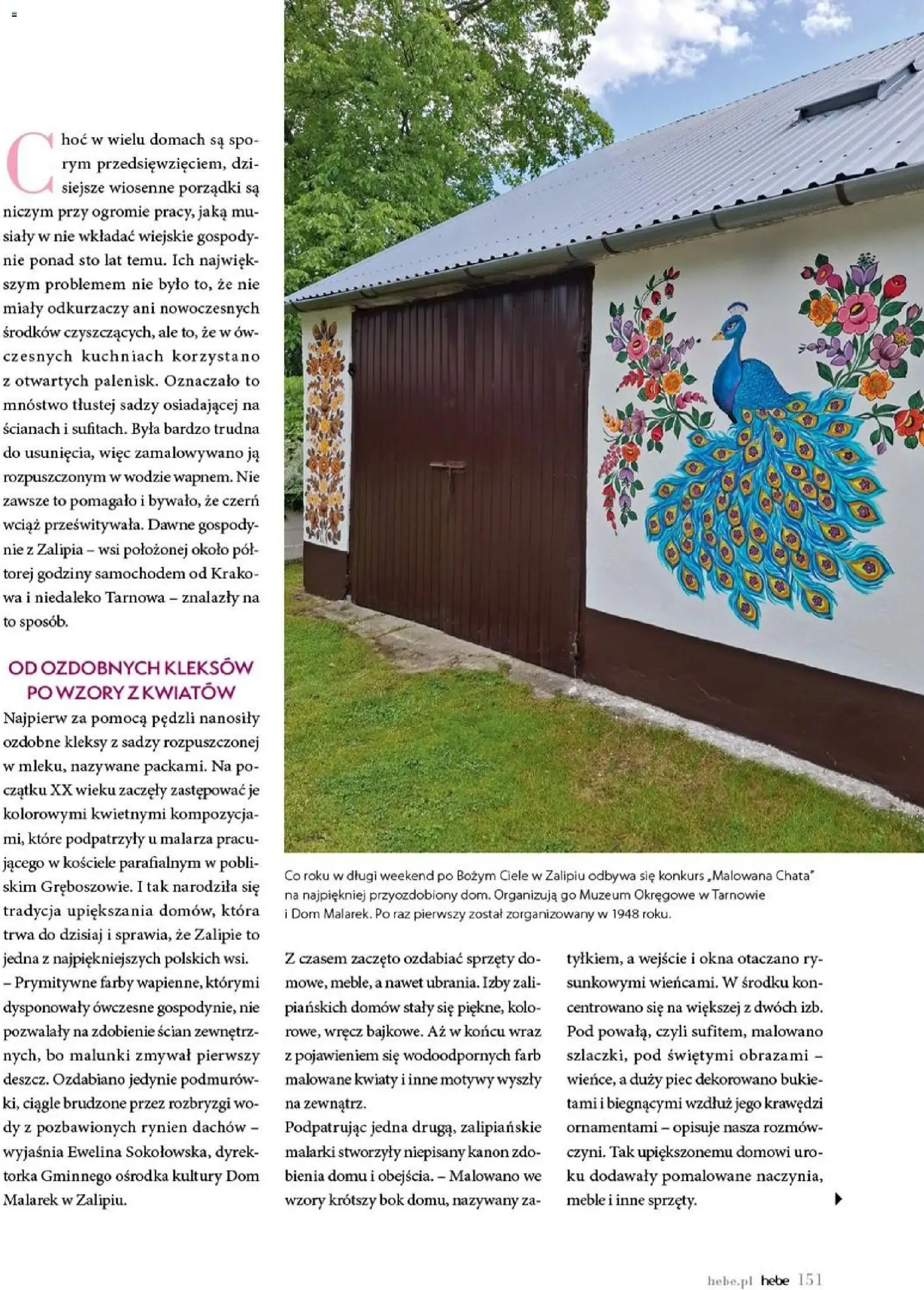 Hebe gazetka - Magazyn od 01.07.2026 | Strona: 151 | Produkty: Kwiaty