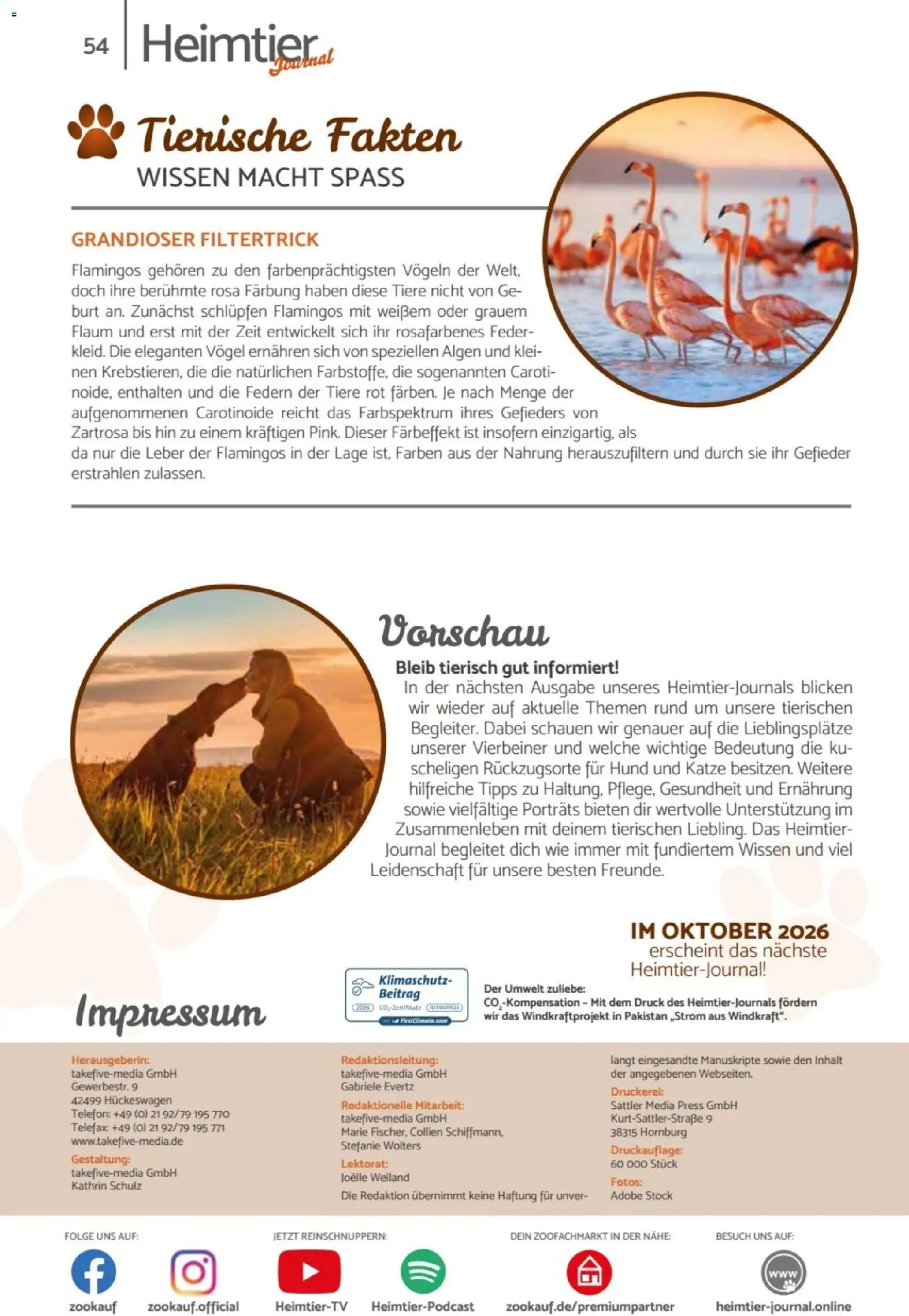 zookauf Heimtier Journal – gültig ab 01.07.2026 | Seite: 54