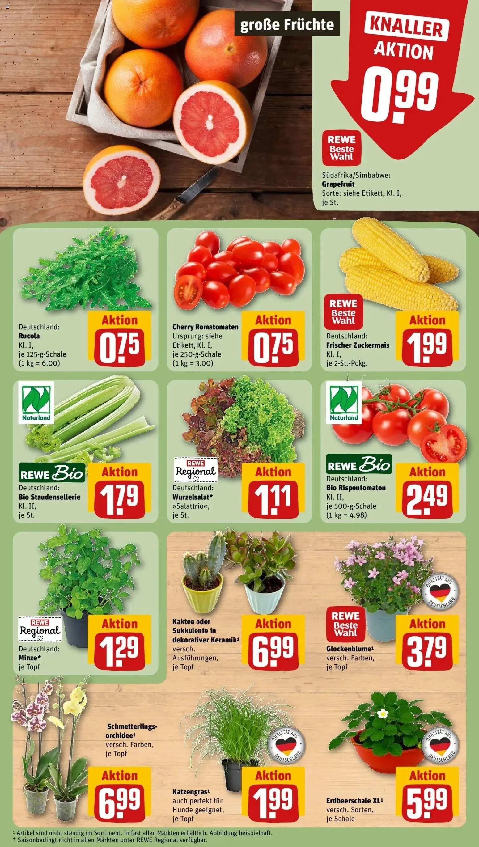 Rewe Prospekt Hilden – gültig ab 27.07.2026 | Seite: 5 | Produkte: Rucola, Grapefruit